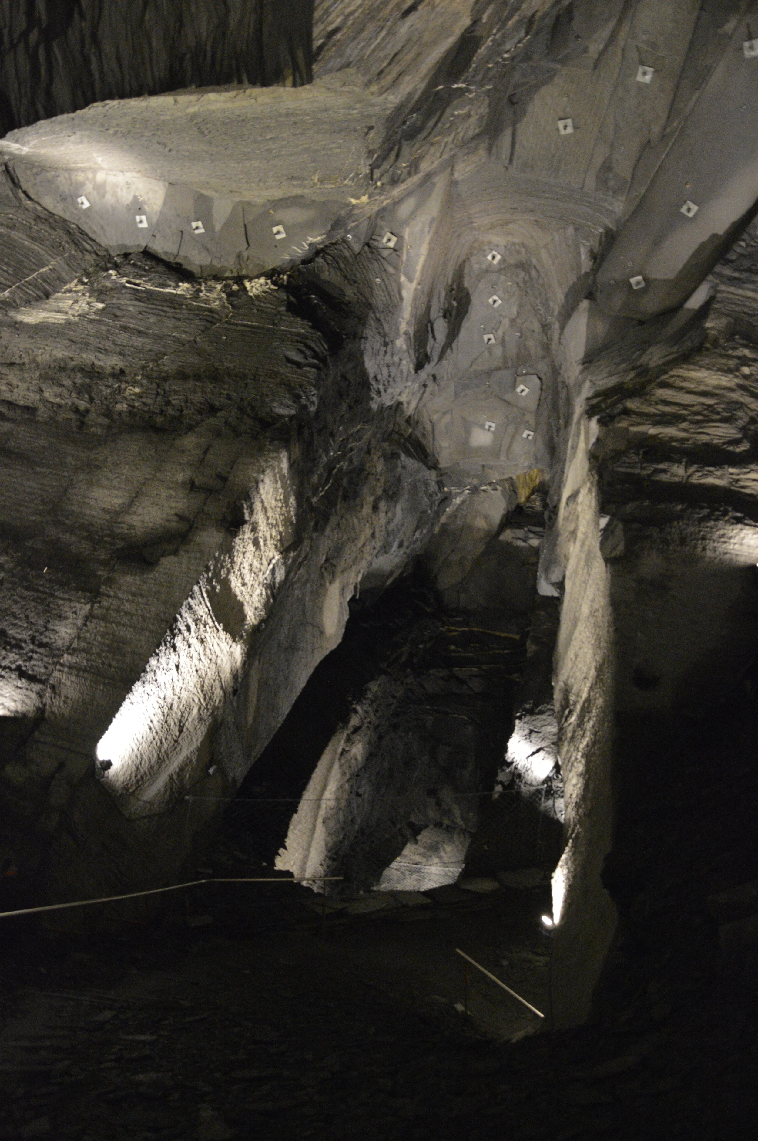 _DSC0571.JPG