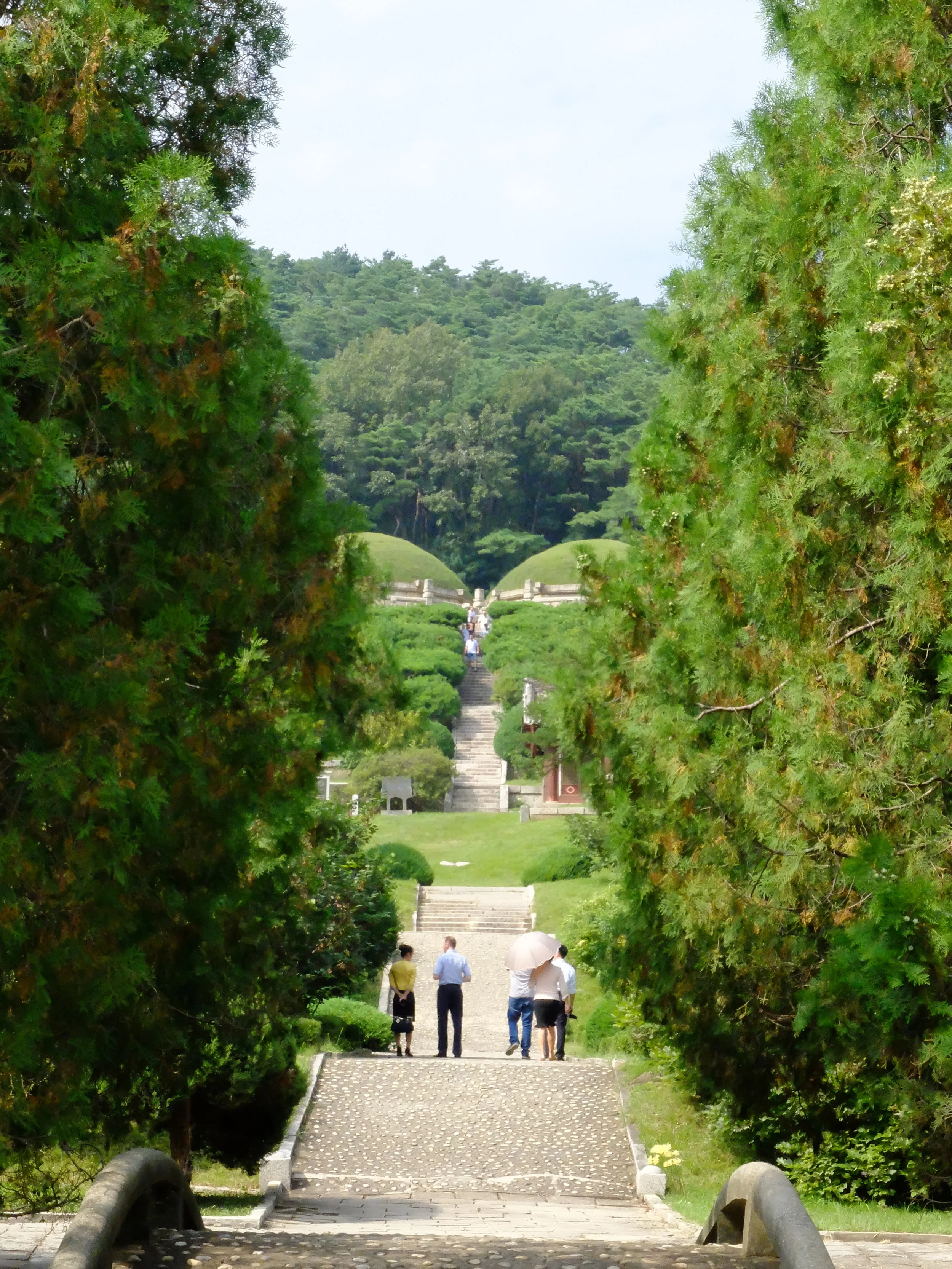 DSCF2534.JPG