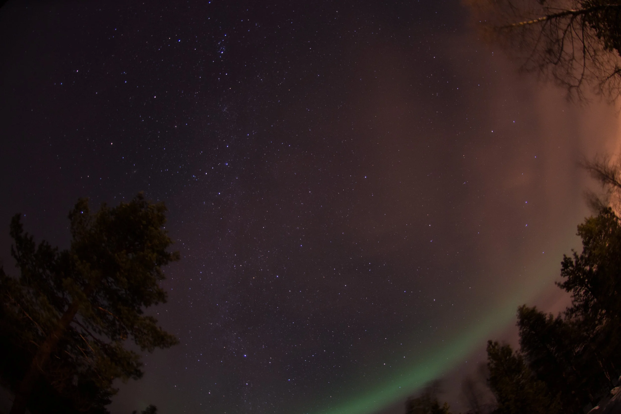 DSC_0892.jpg