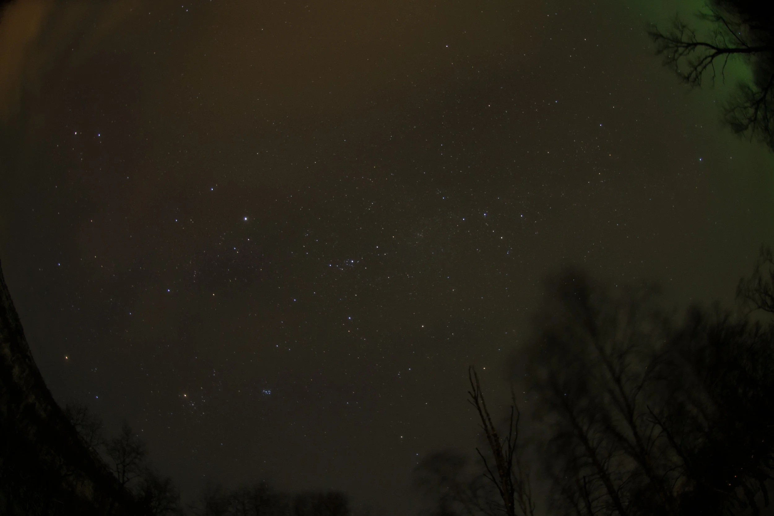 DSC_0895.jpg