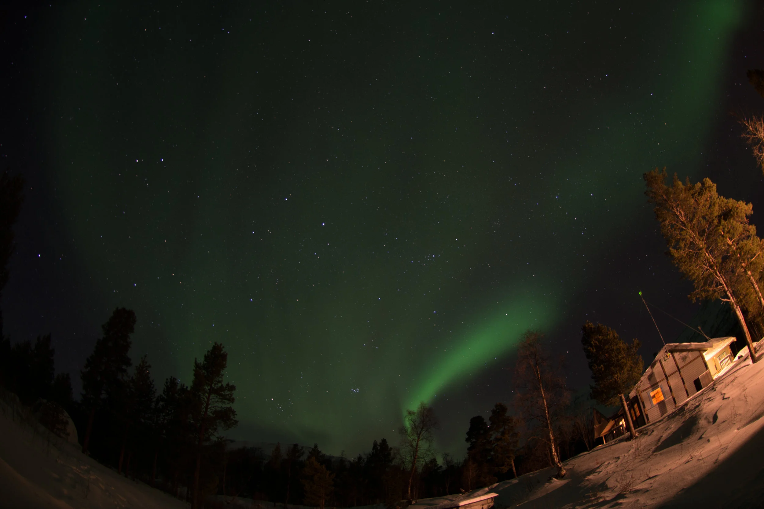 DSC_0907.jpg