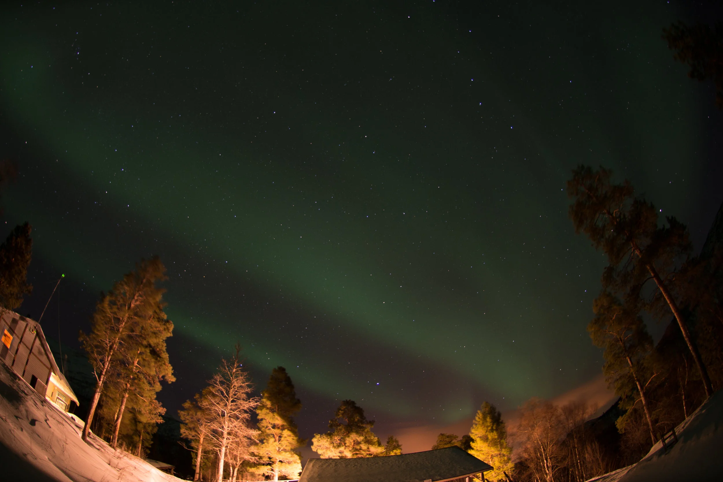 DSC_0910.jpg