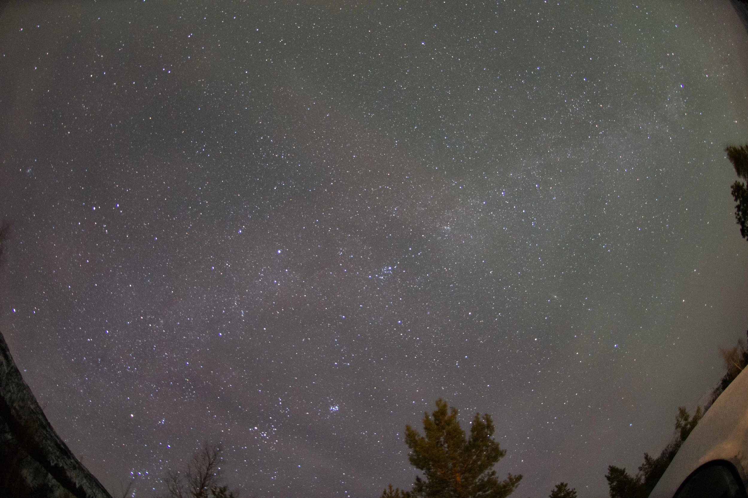 DSC_0926.jpg