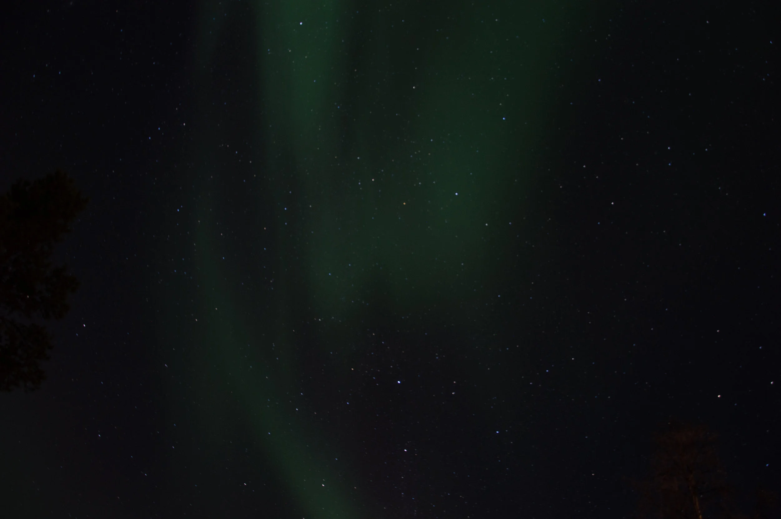 _DSC0047.jpg