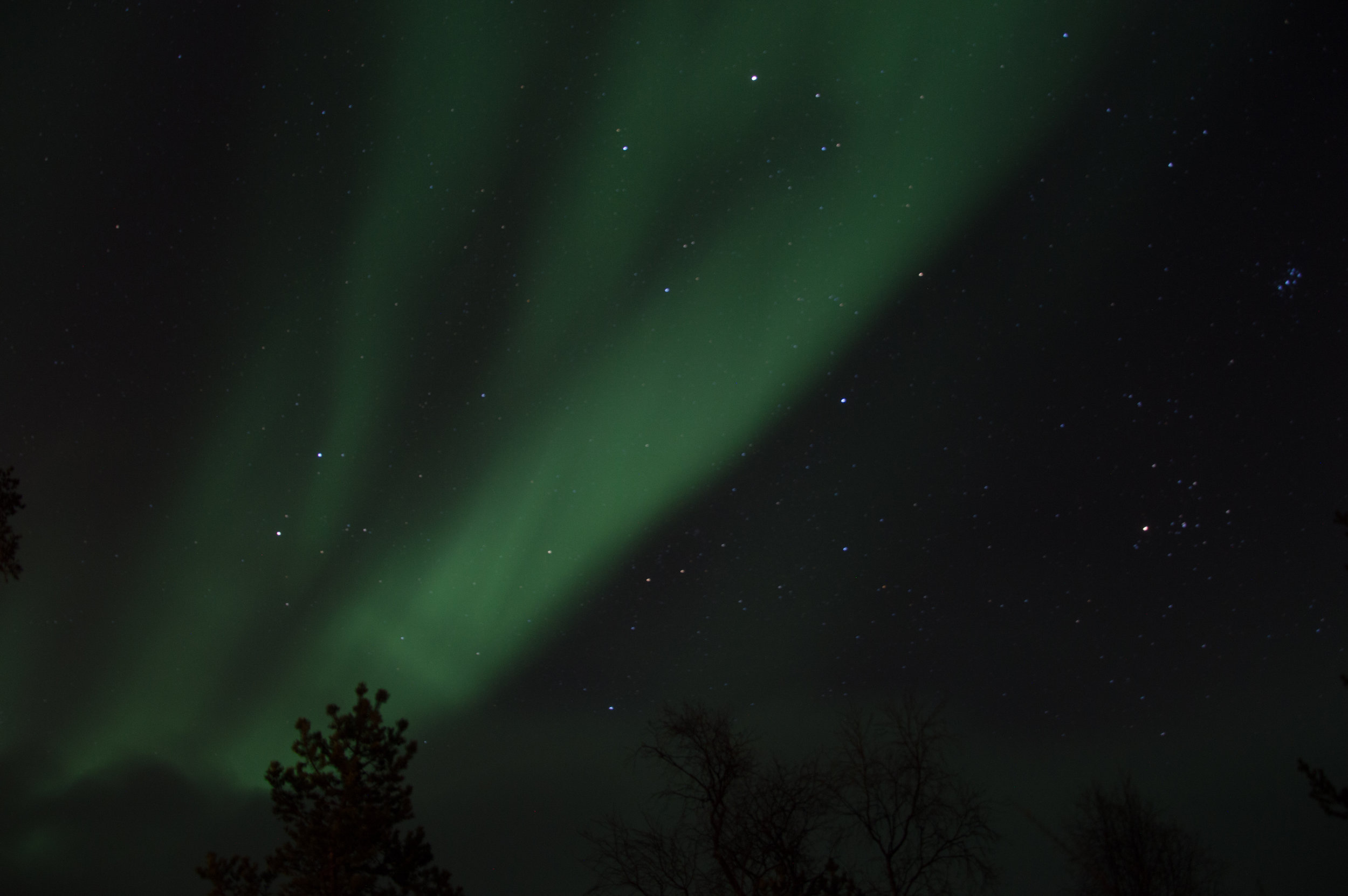 _DSC0048.jpg