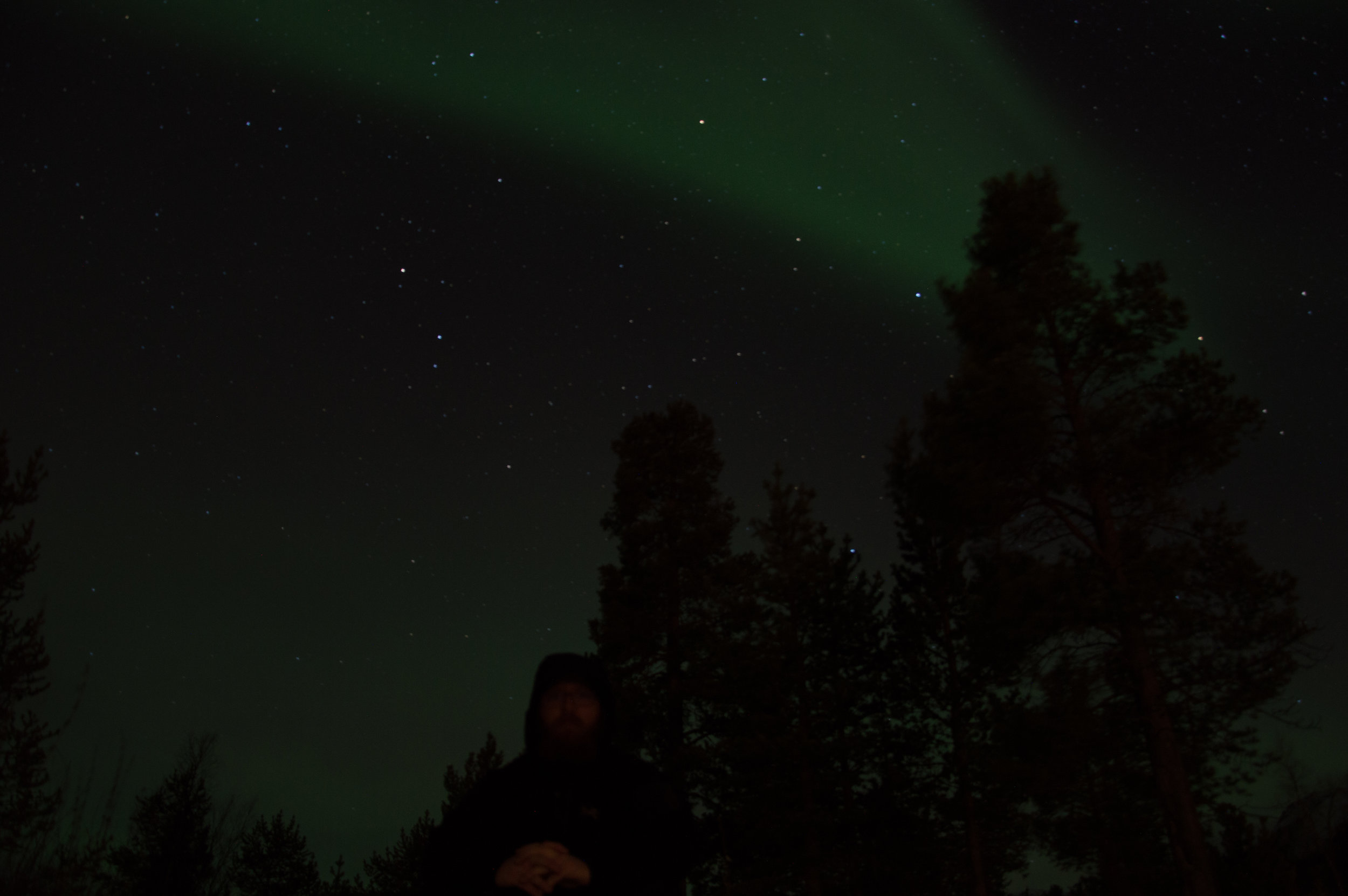 _DSC0050.jpg