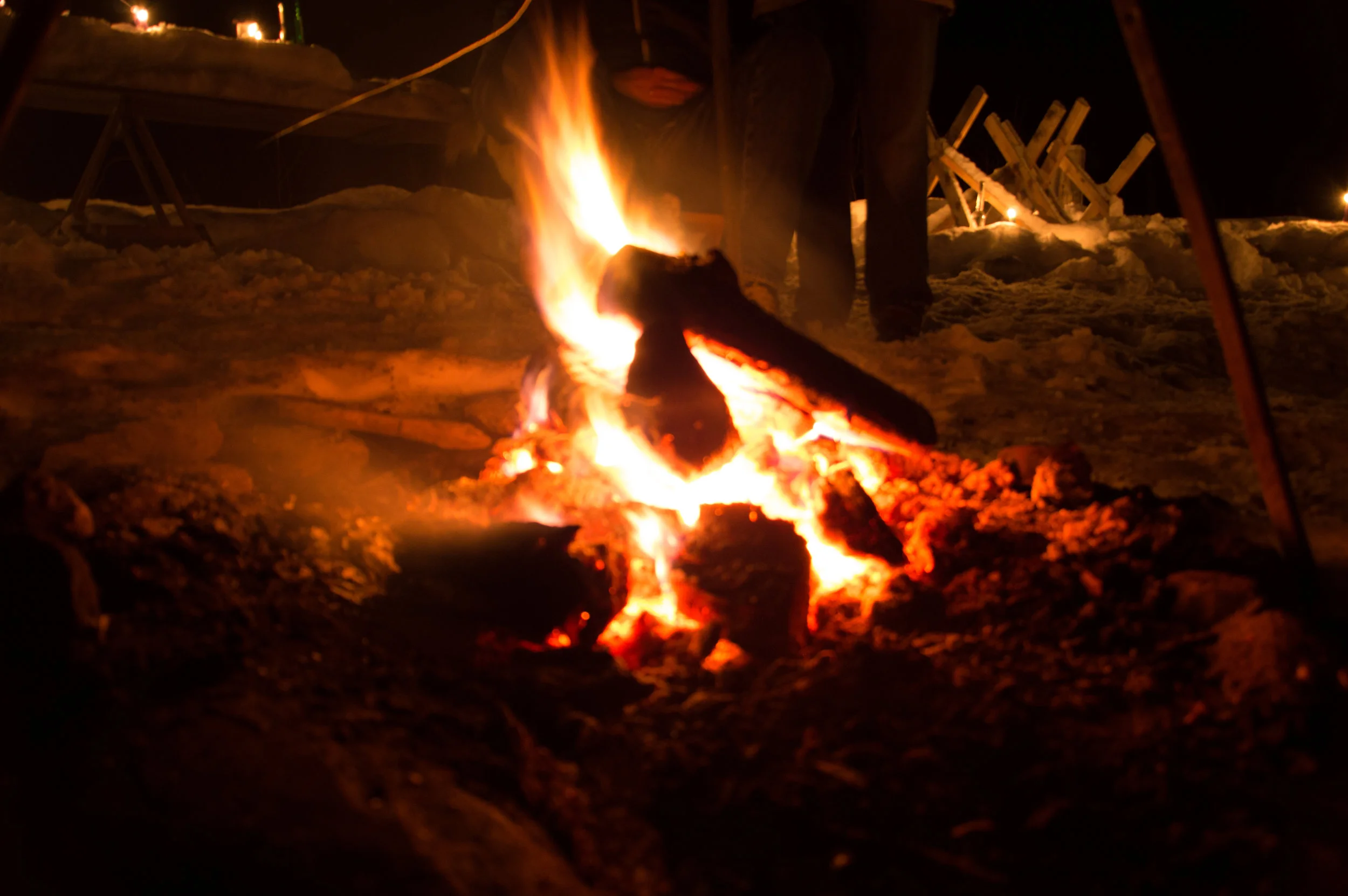 _DSC0092.jpg