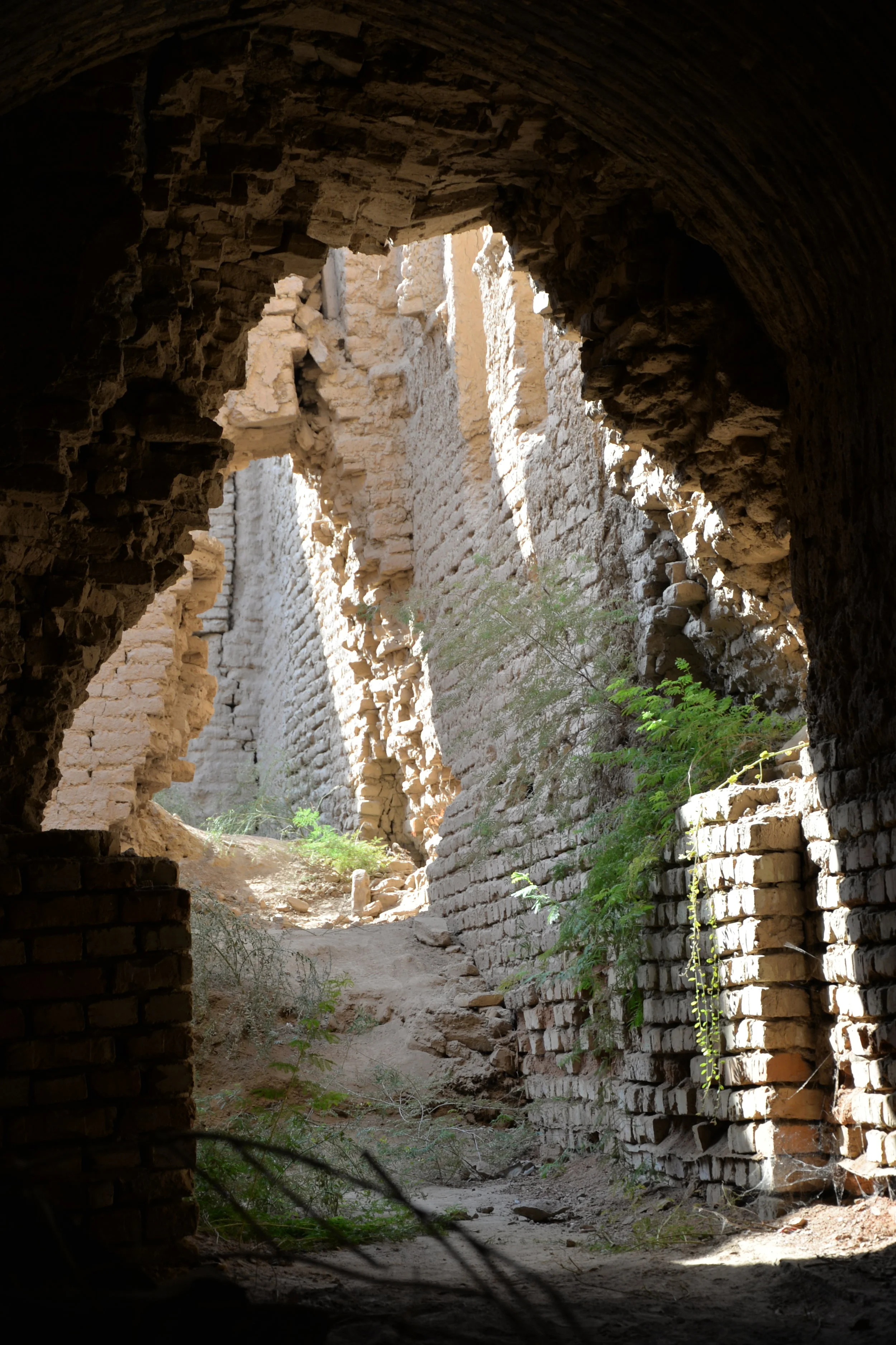 DSC_4627.JPG