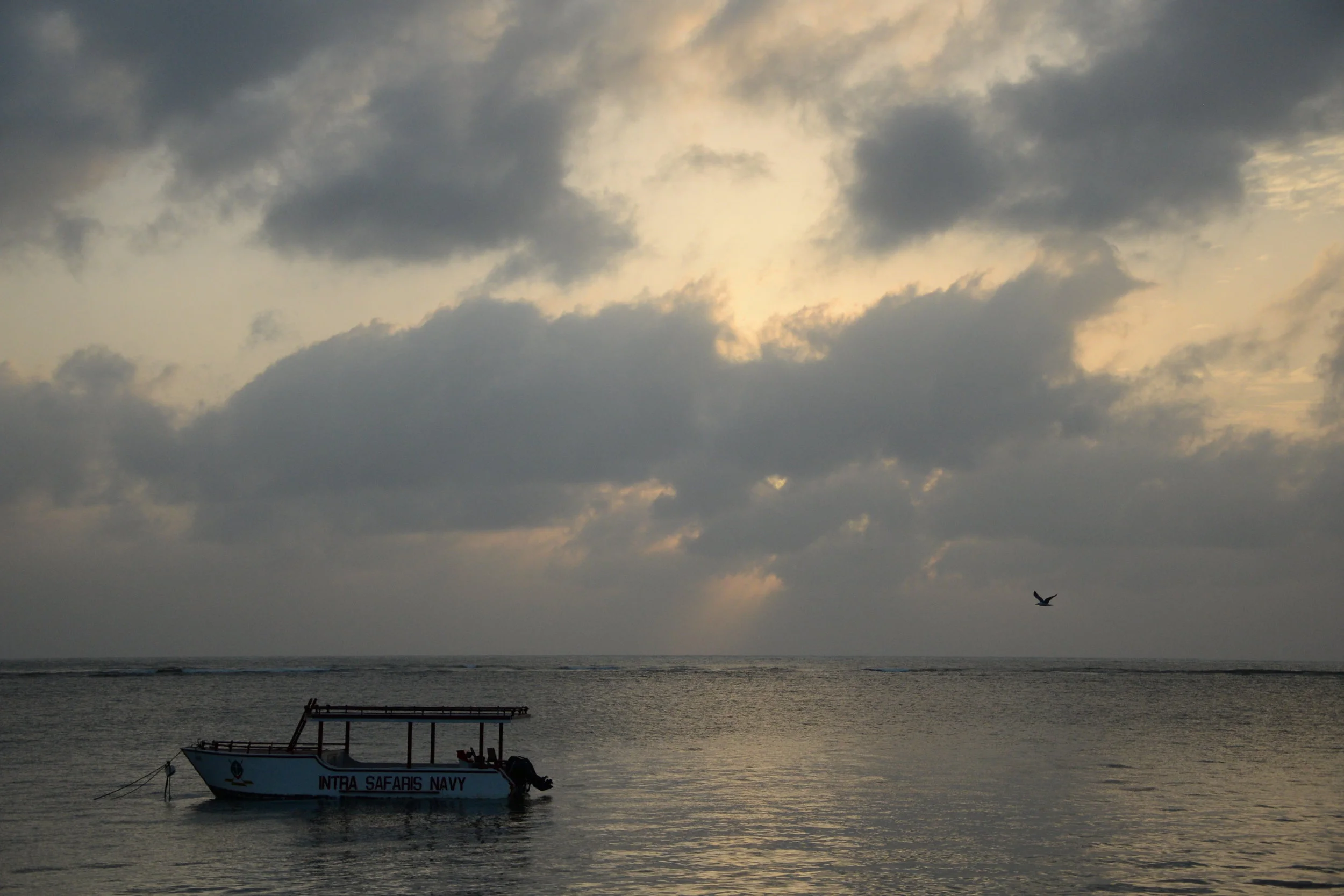 DSC_5079.JPG