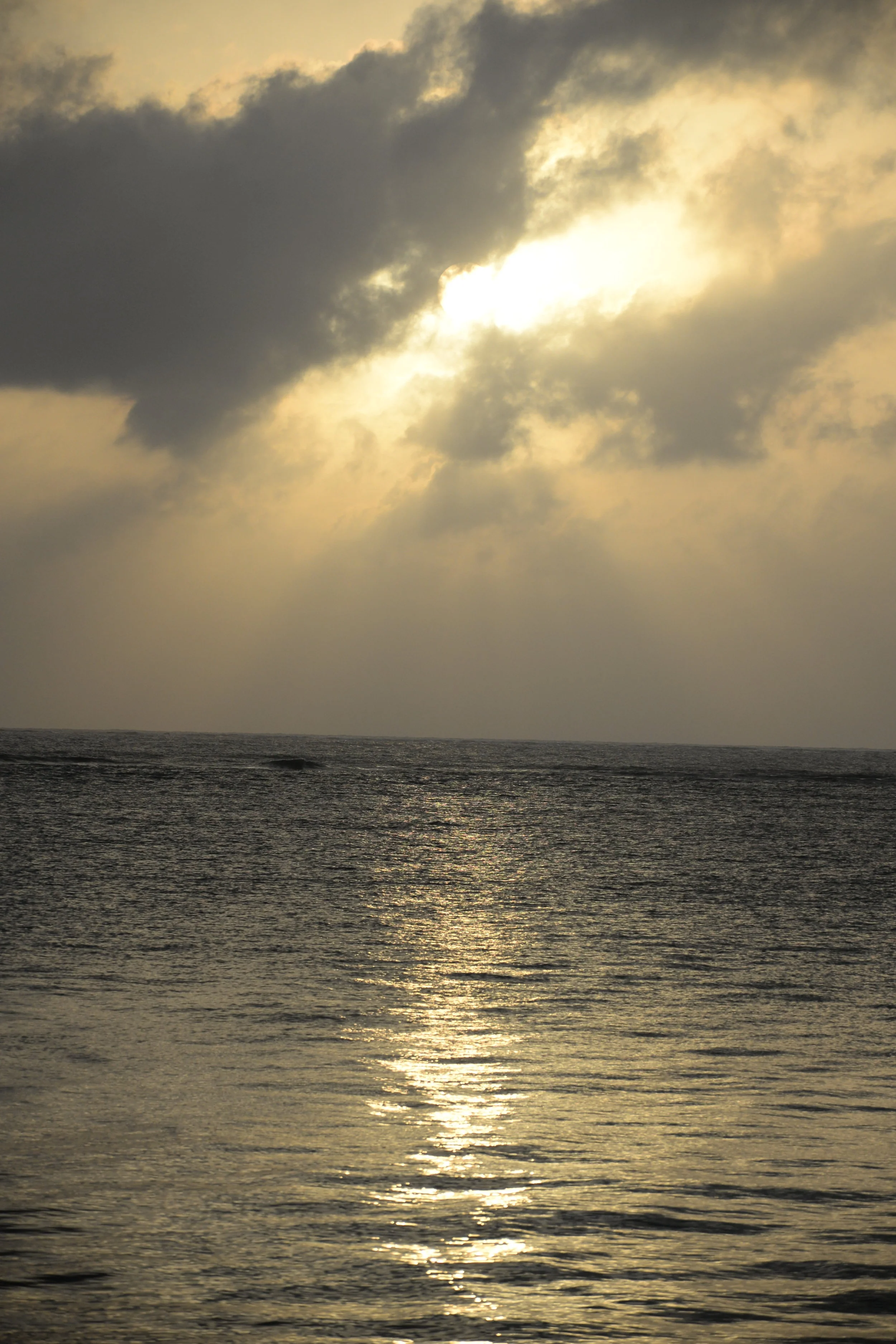 DSC_5109.JPG