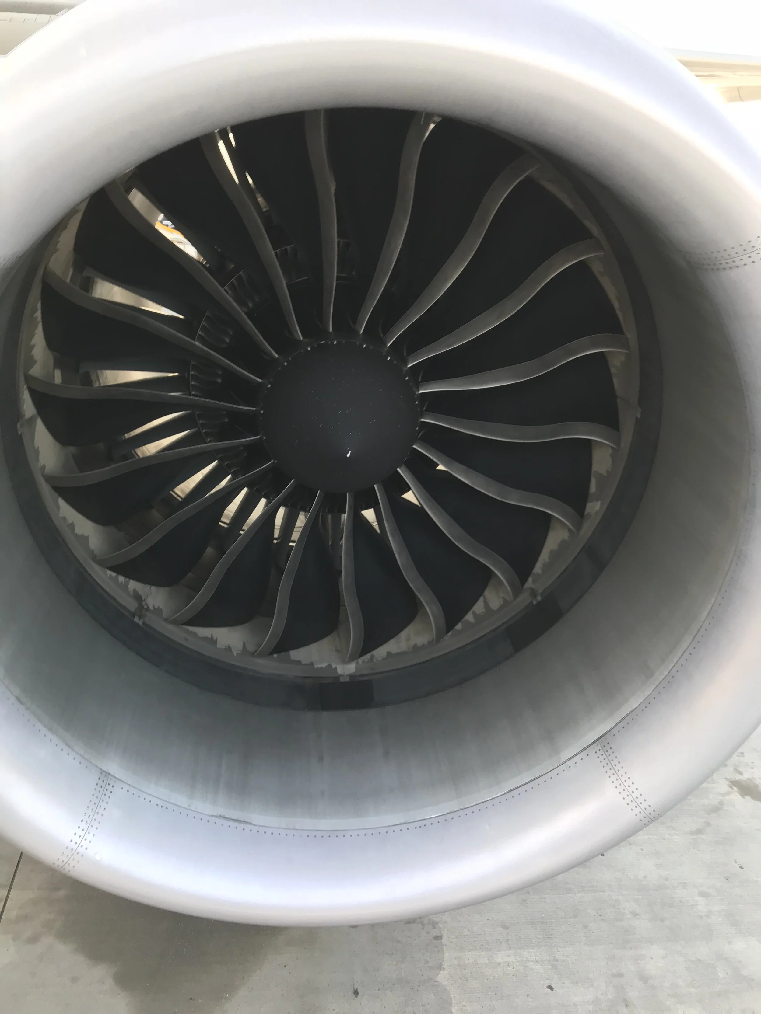 IMG_7257.JPG