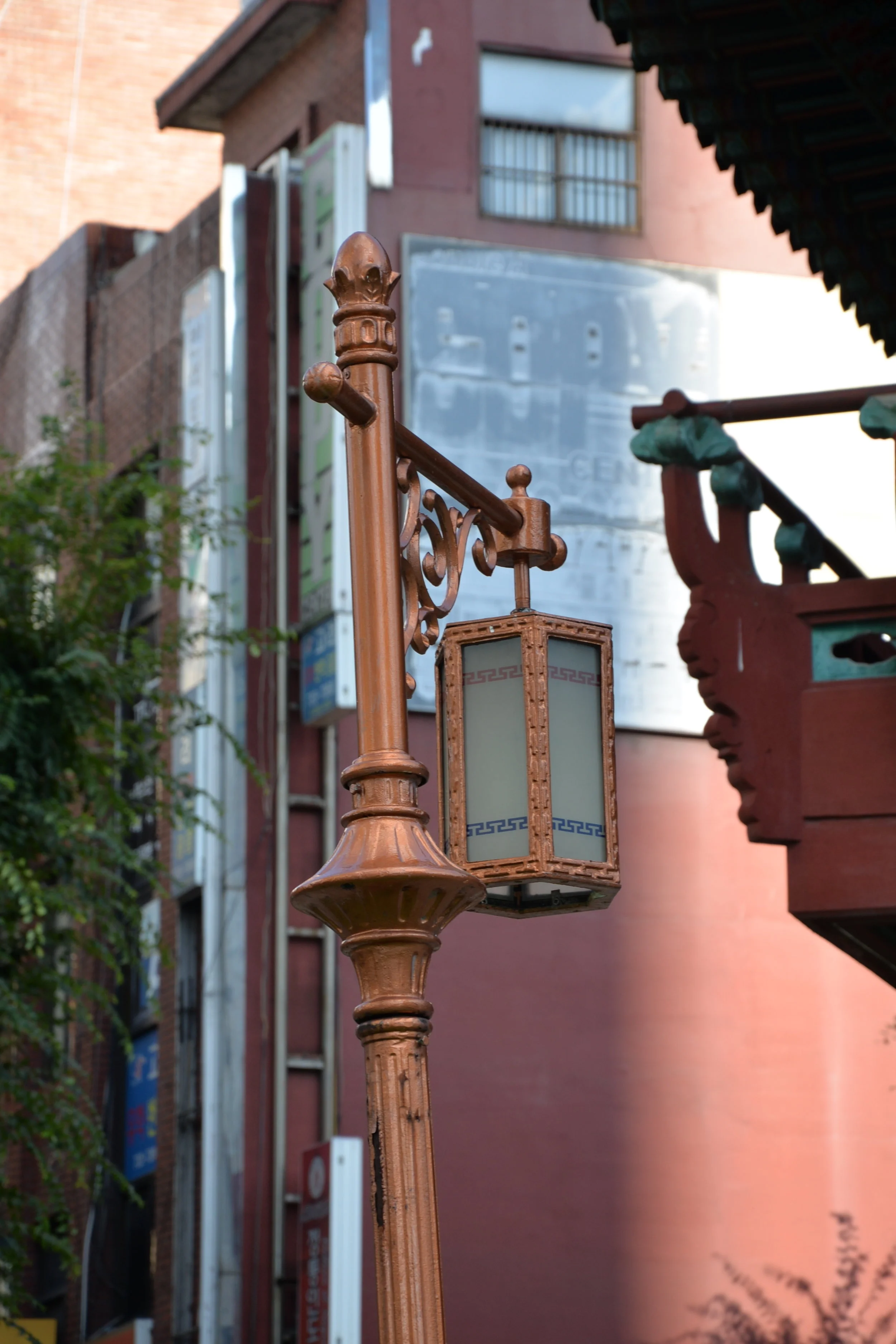 DSC_6105.JPG