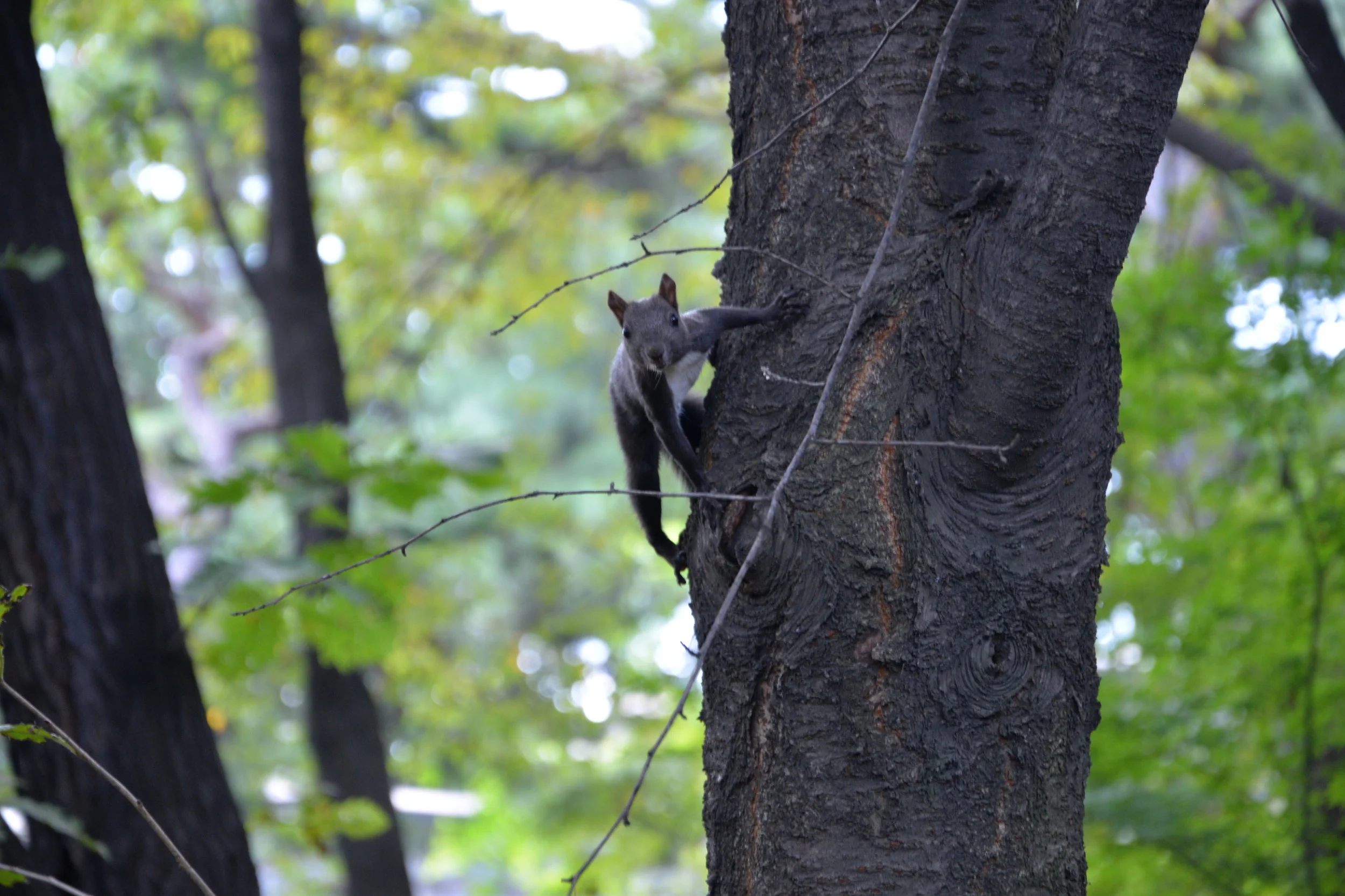 DSC_6974.JPG