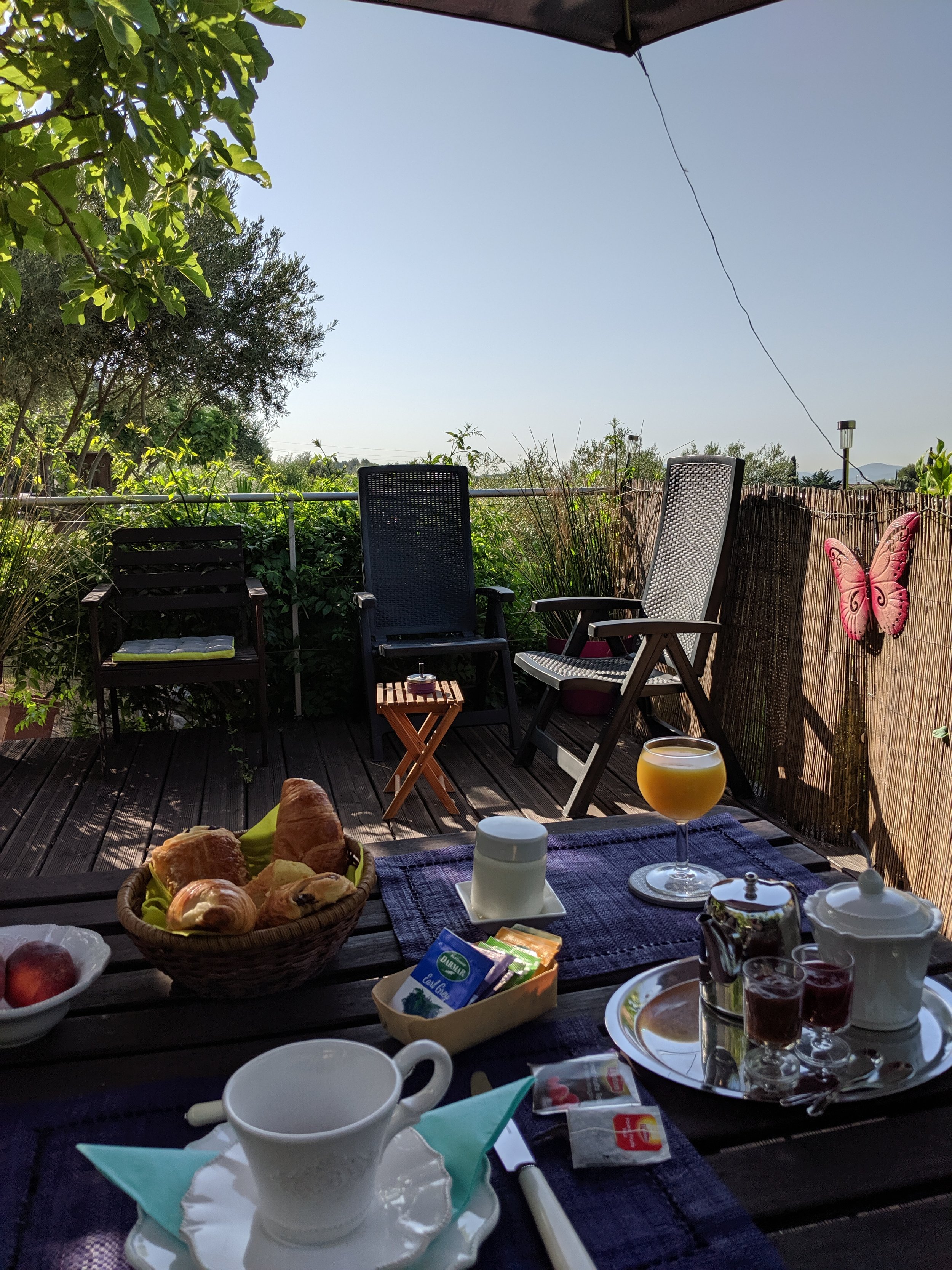 IMG_20190627_090823.jpg