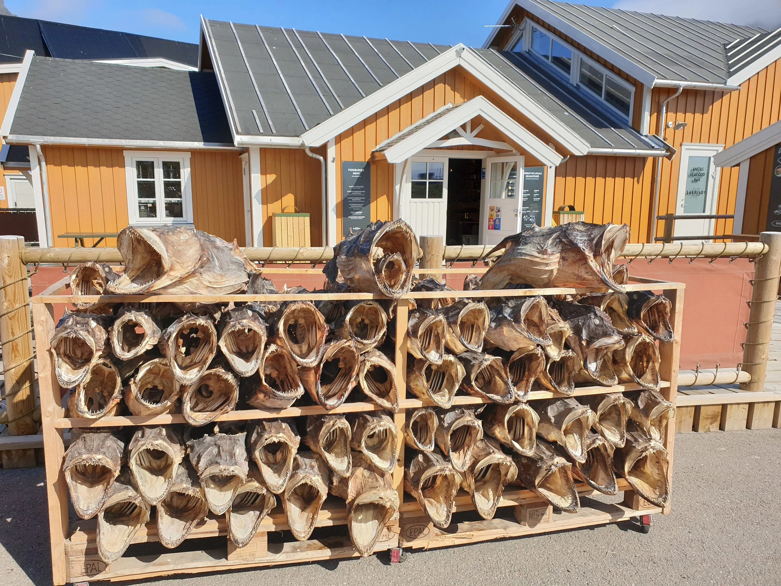 20190617_095655.jpg