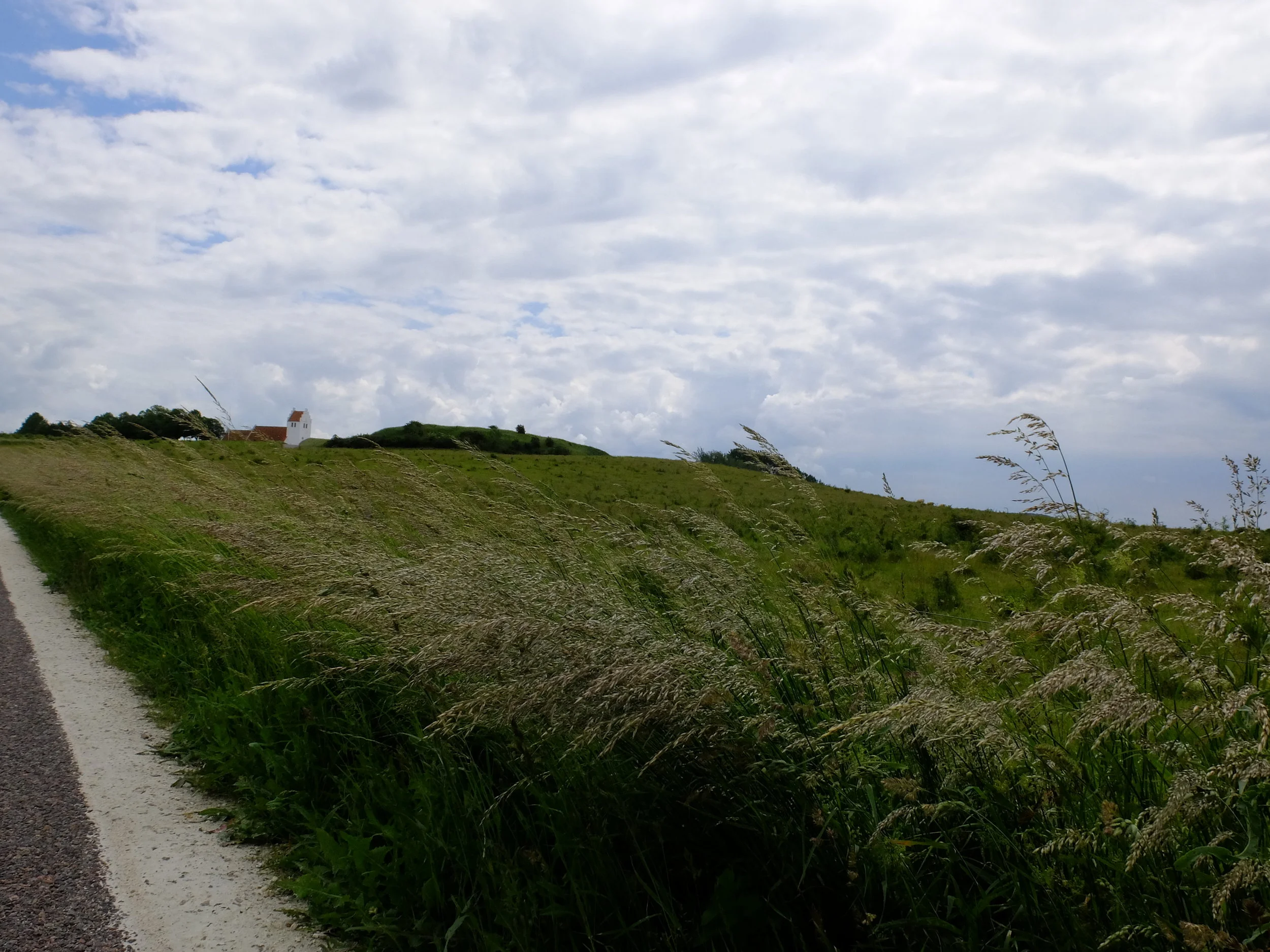 DSCF5641.JPG