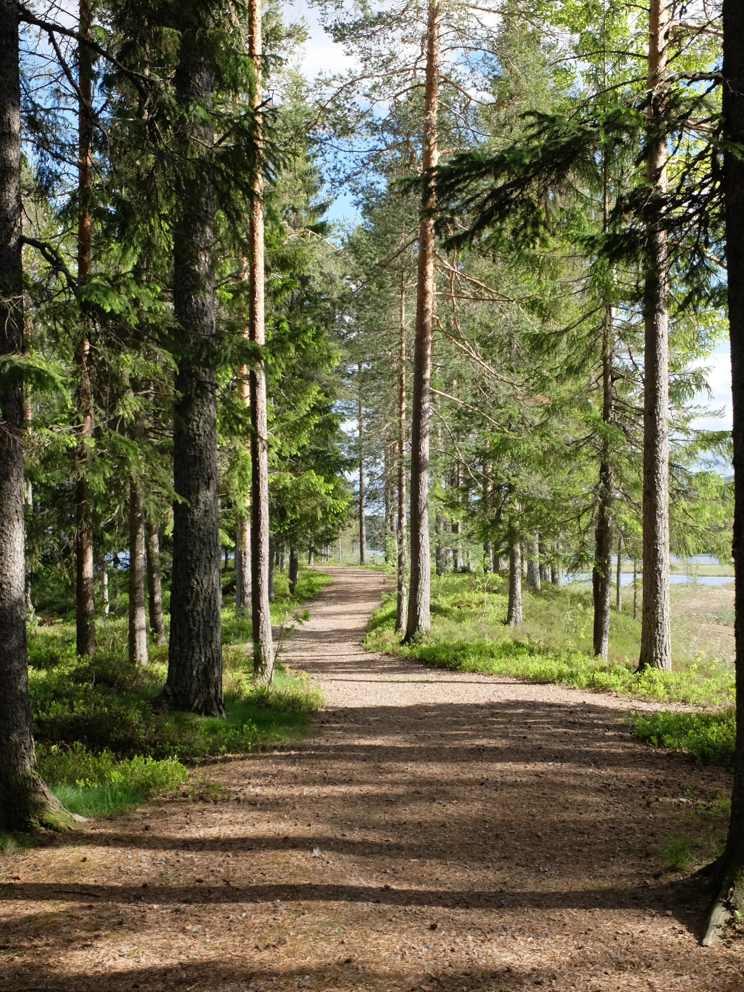 DSCF5807.JPG