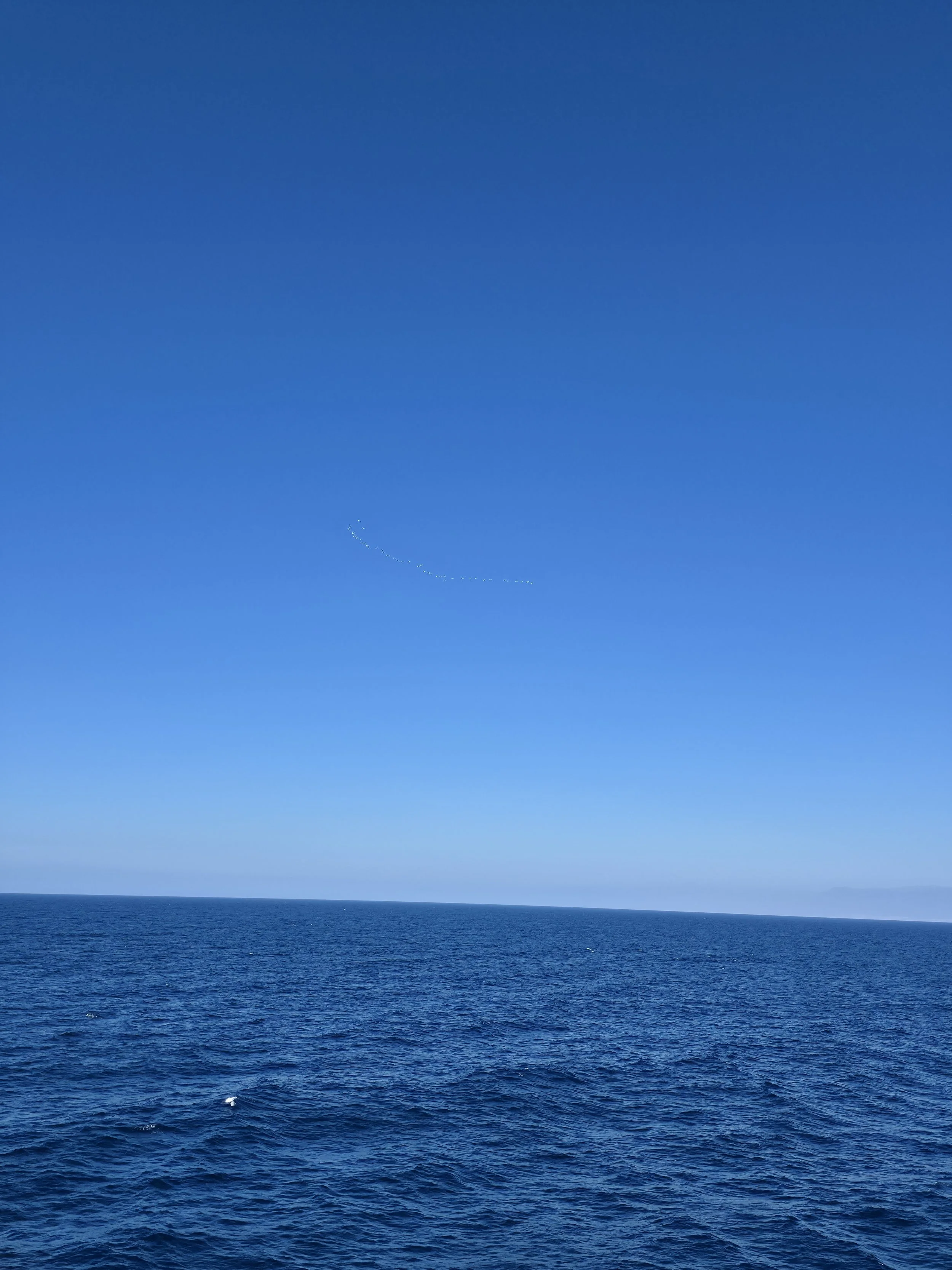 20260914_114302.jpg