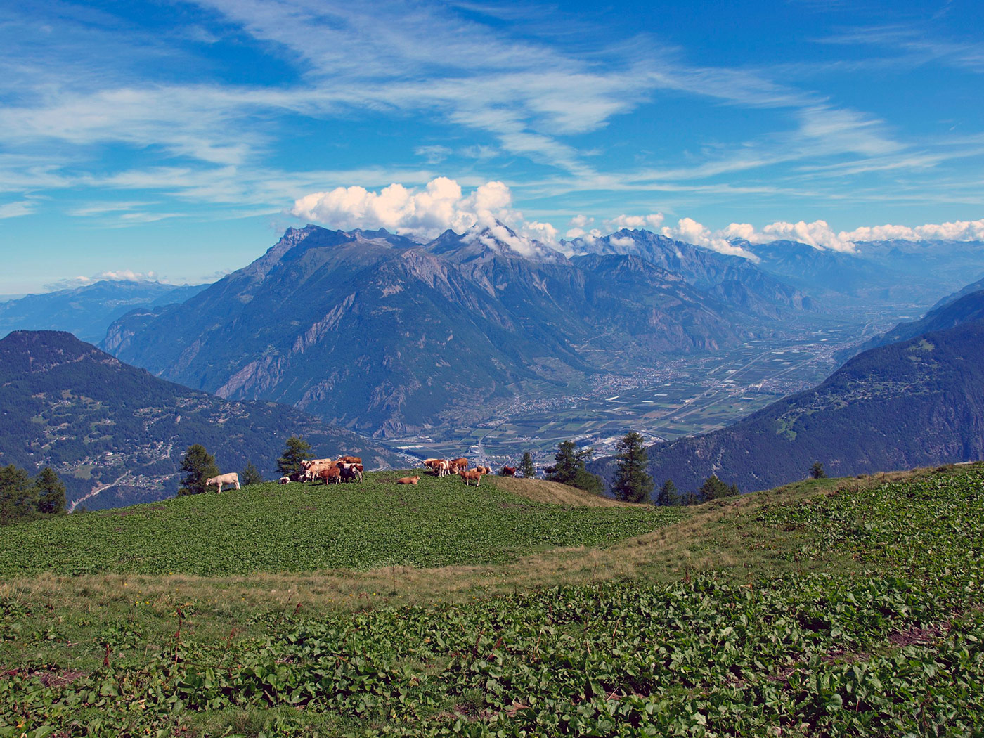 CH130108-Dagli-alpeggi-di-Bovine-uno-sguardo-panoramico-verso-la-valle-di-Martigny.jpg
