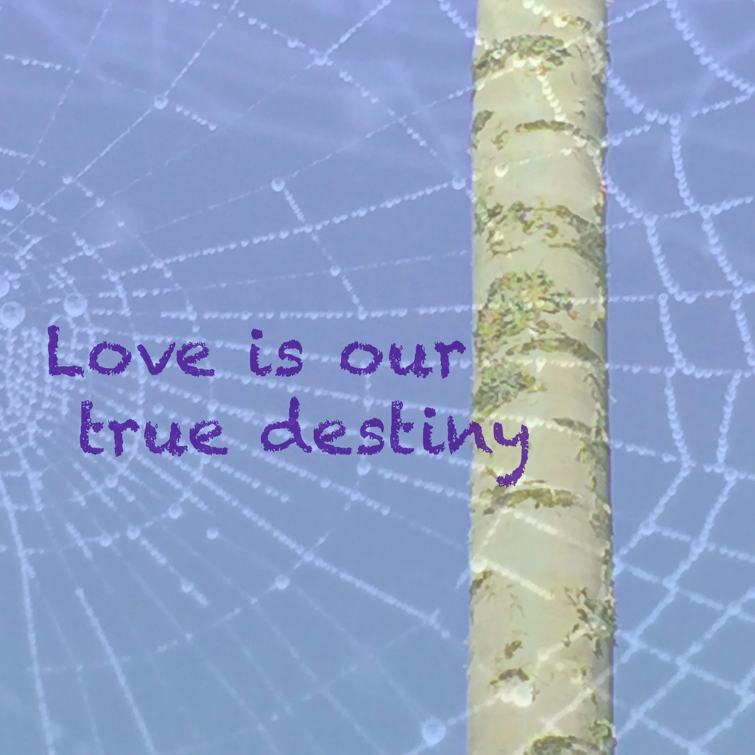 love is.jpg