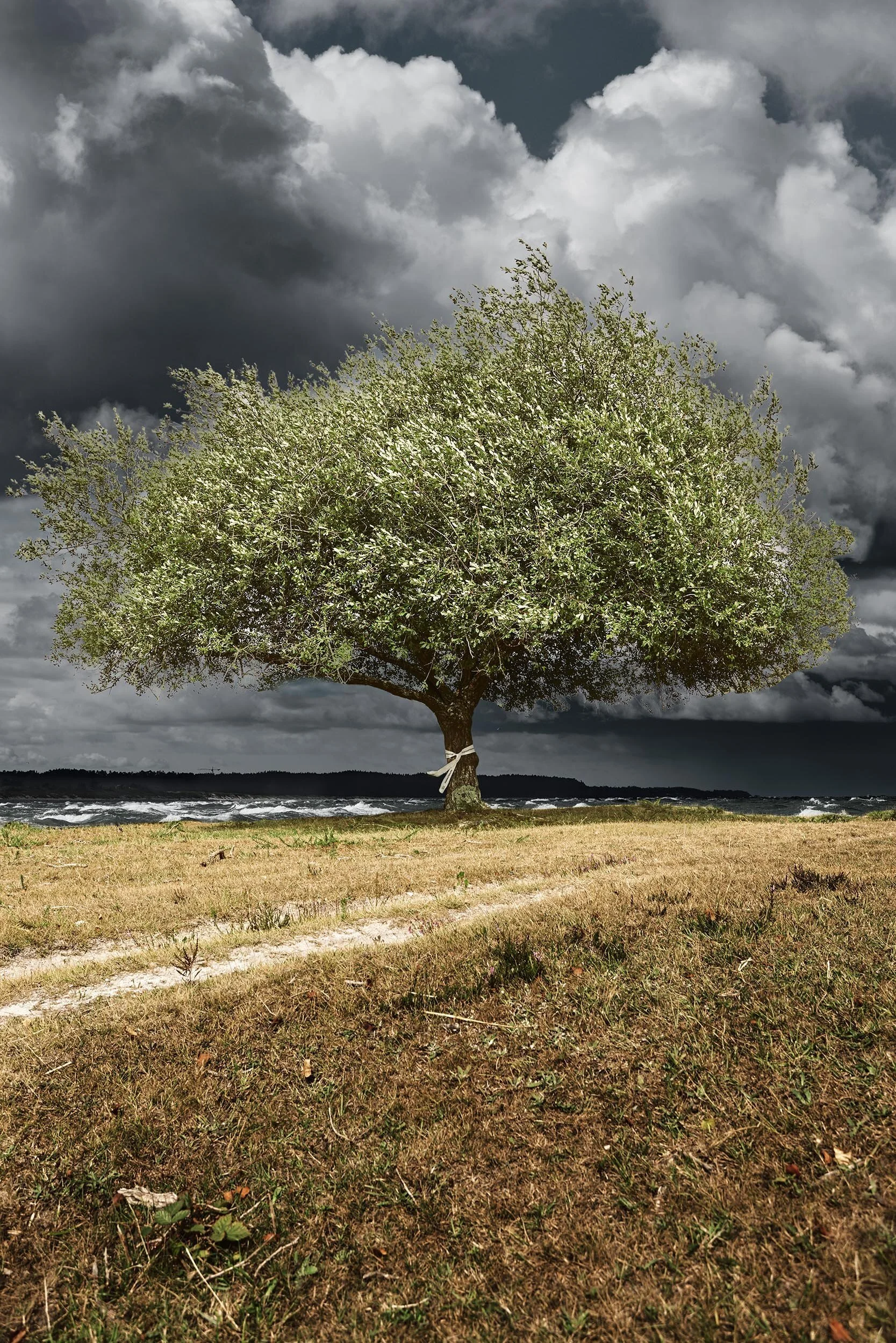 'The Forgotten Solution' Campaign