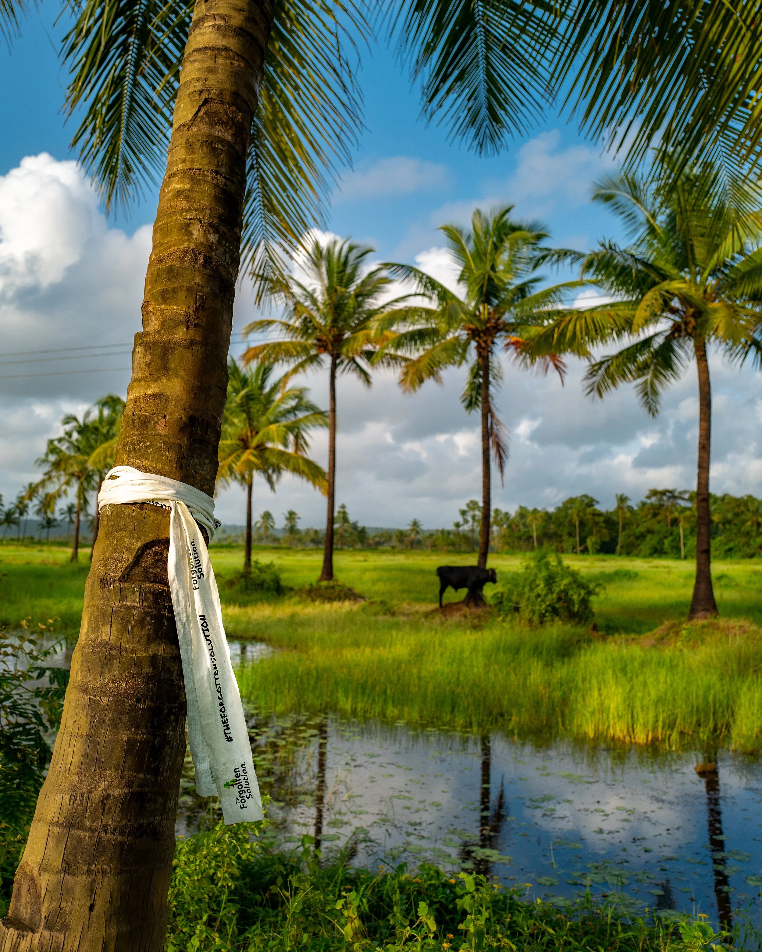 Copy of siddharthajoshi_INDIA.jpg