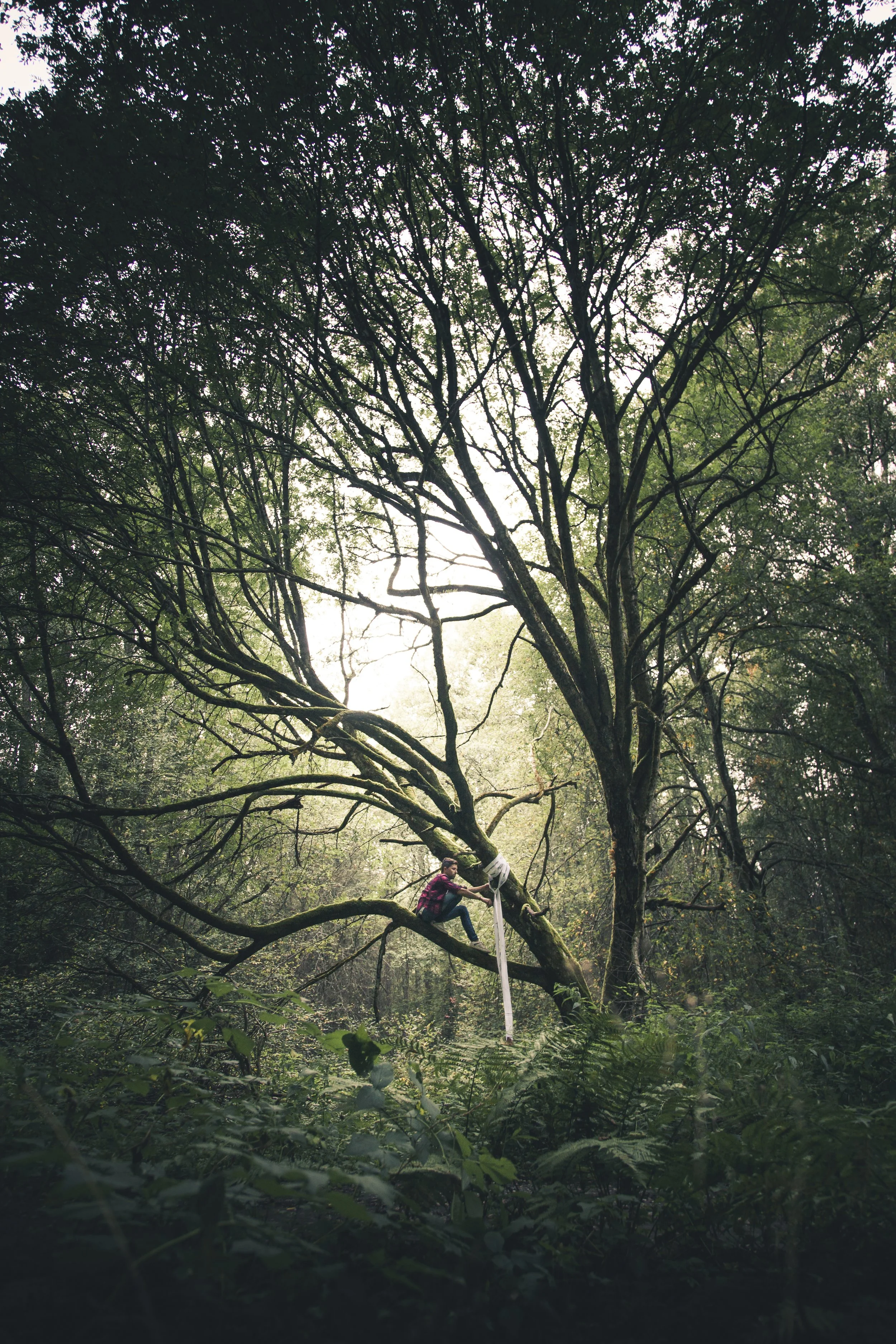 Copy of kristoffervaiklaphoto_ESTONIA.jpg