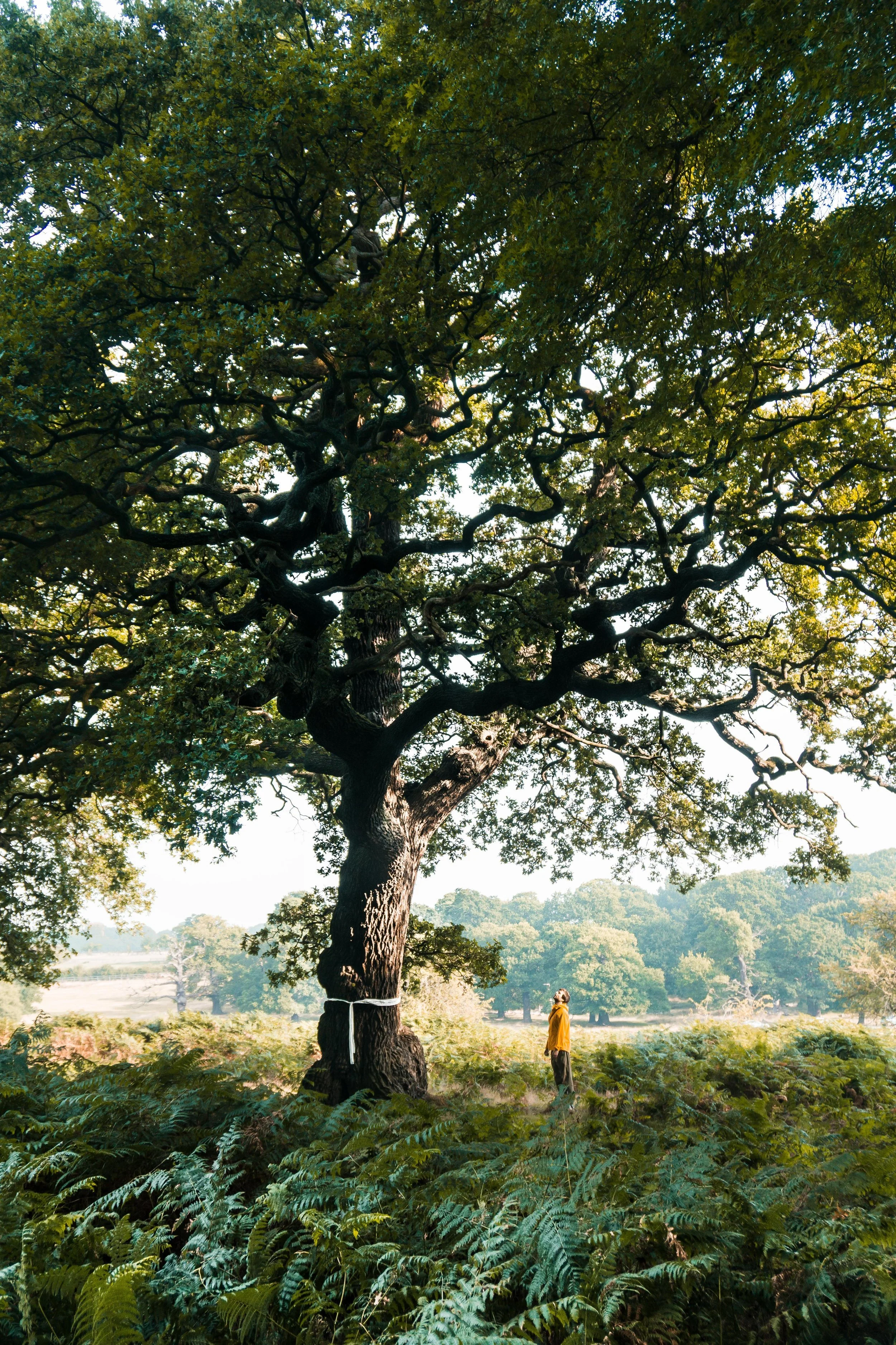 Copy of the.travel.project_ENGLAND.jpg