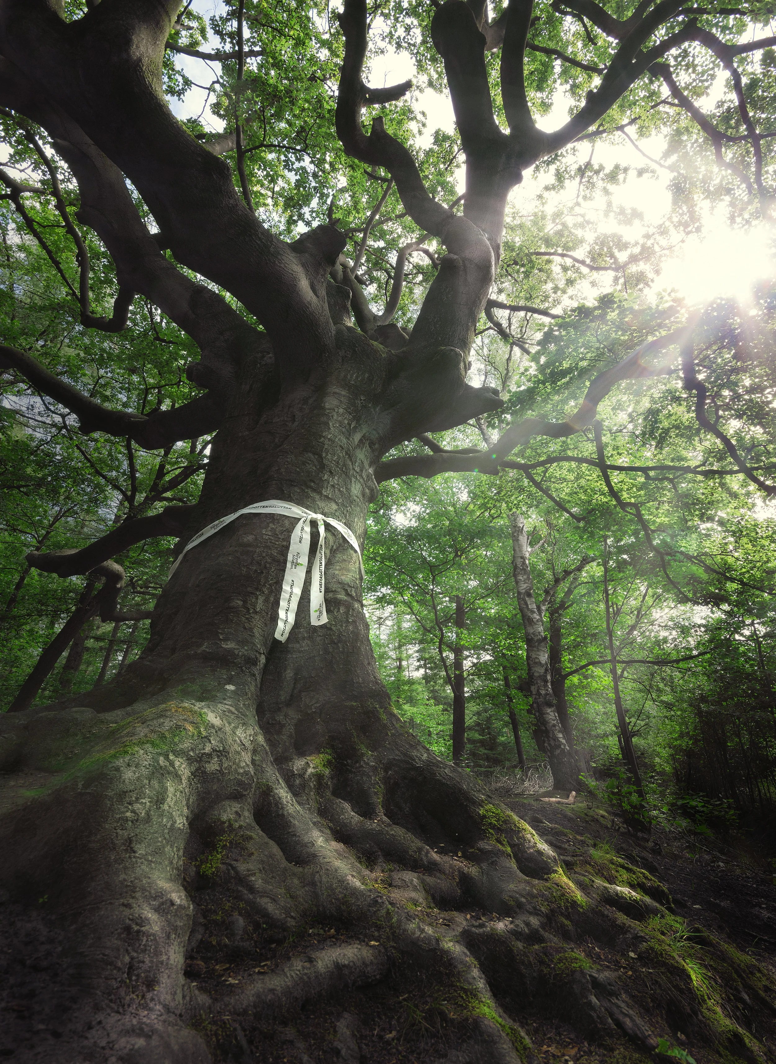 Copy of rob_visser_photography_HOLLAND.jpg