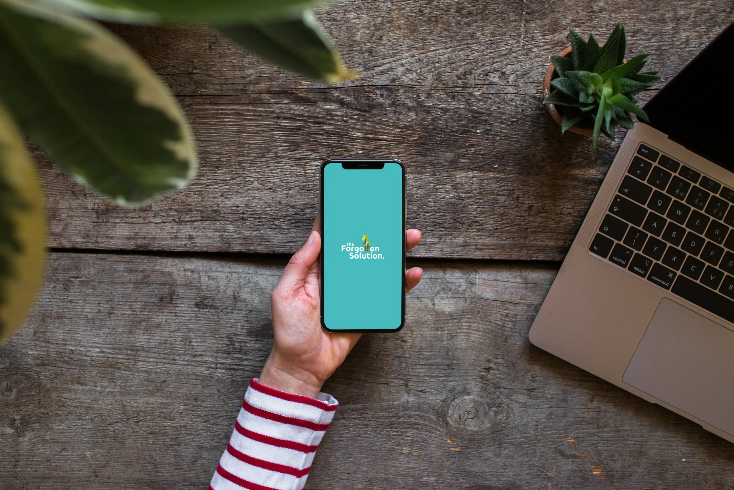 TheForgottenSolution_Brand.jpg