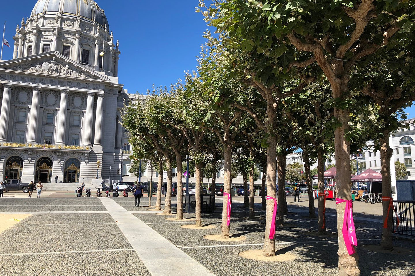 The-Forgotten-Solution-Takeover-1 copy.jpg