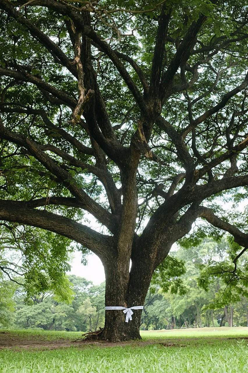 Copy of viewsunlee_THAILAND.png