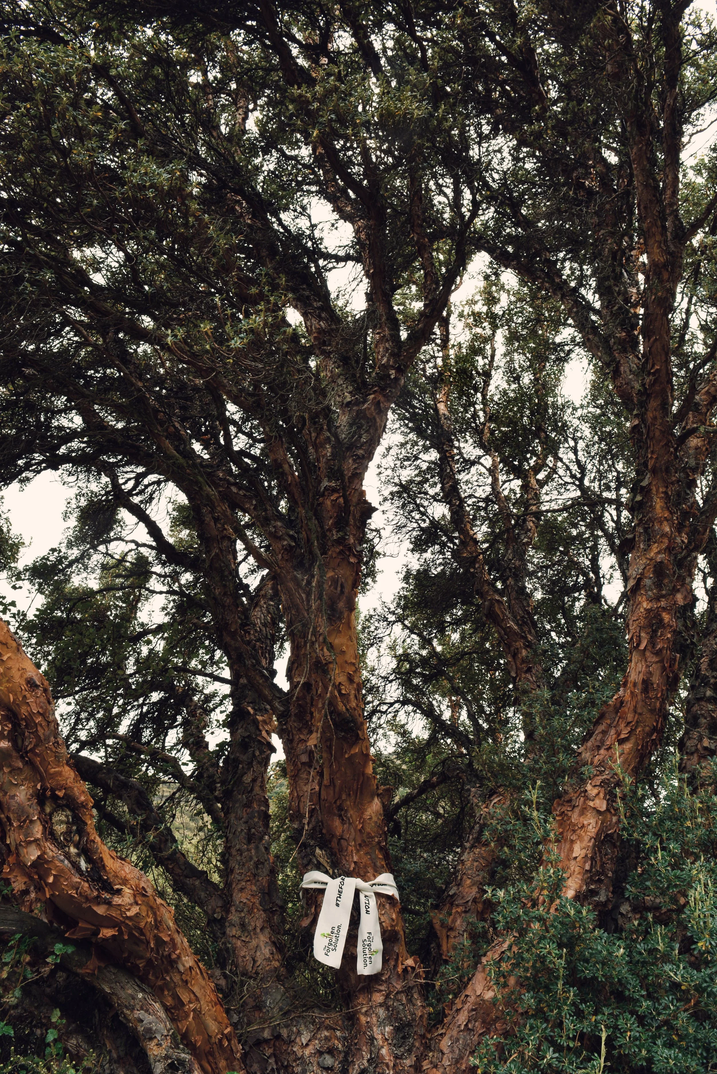 Copy of @ricardoom90_ECUADOR.jpg