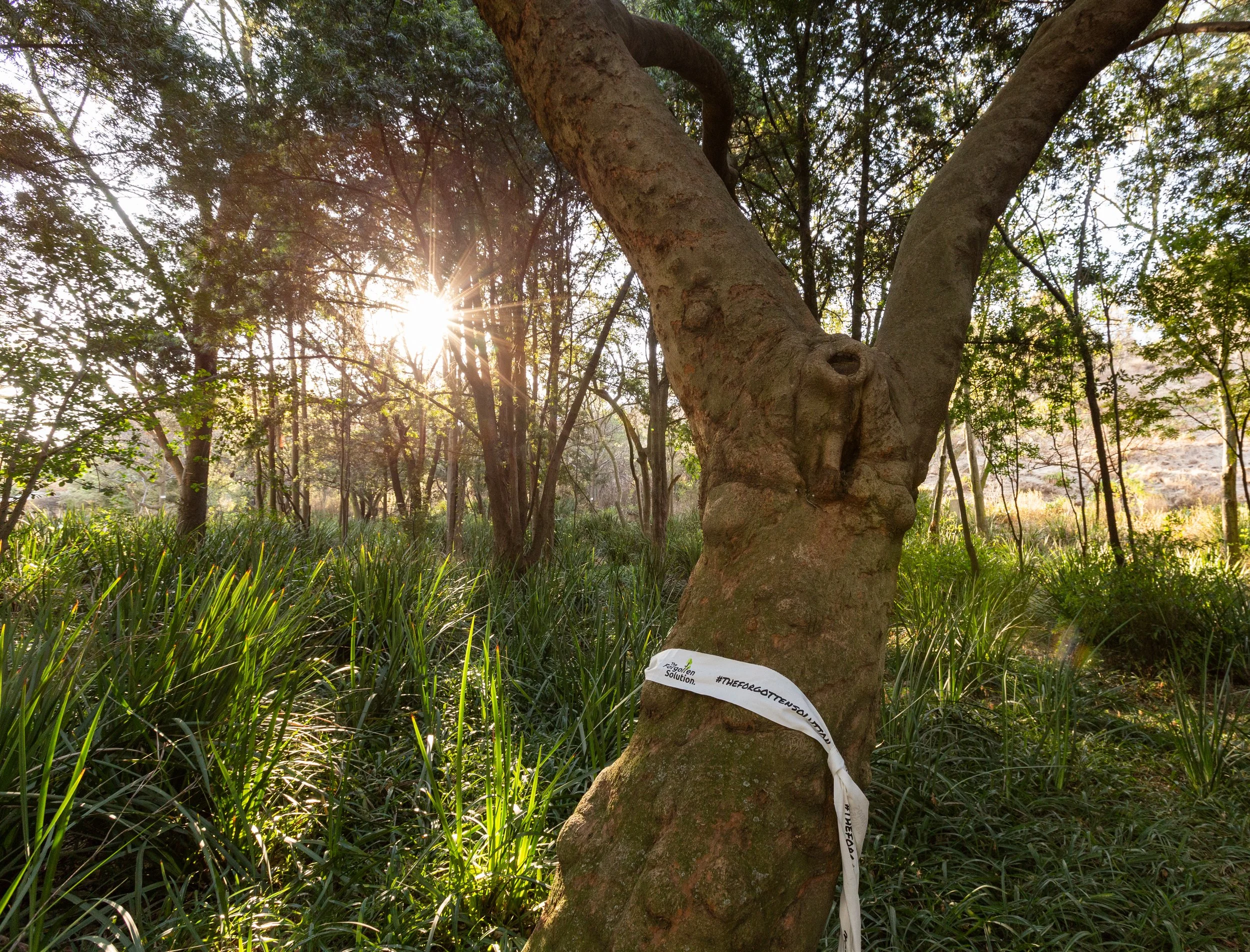 Copy of 2summers_SOUTH AFRICA.jpg