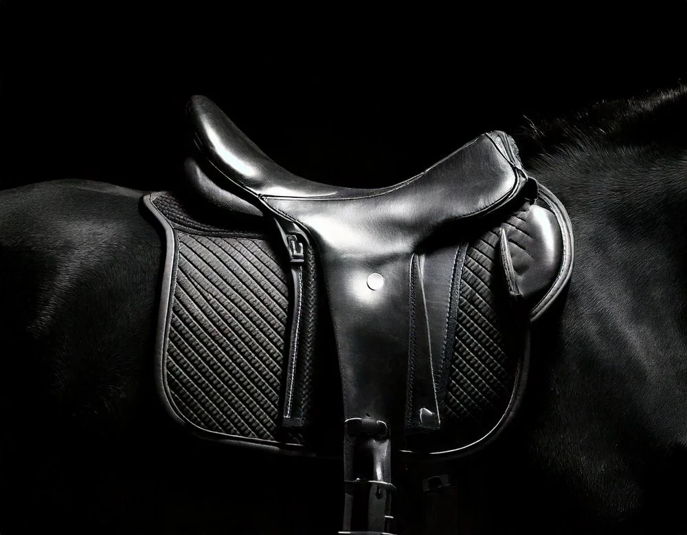 Firefly+black+on+black+premium+photograph+of+saddle,+black+on+black+tones,+showing+just+a+little+det+(3).jpg