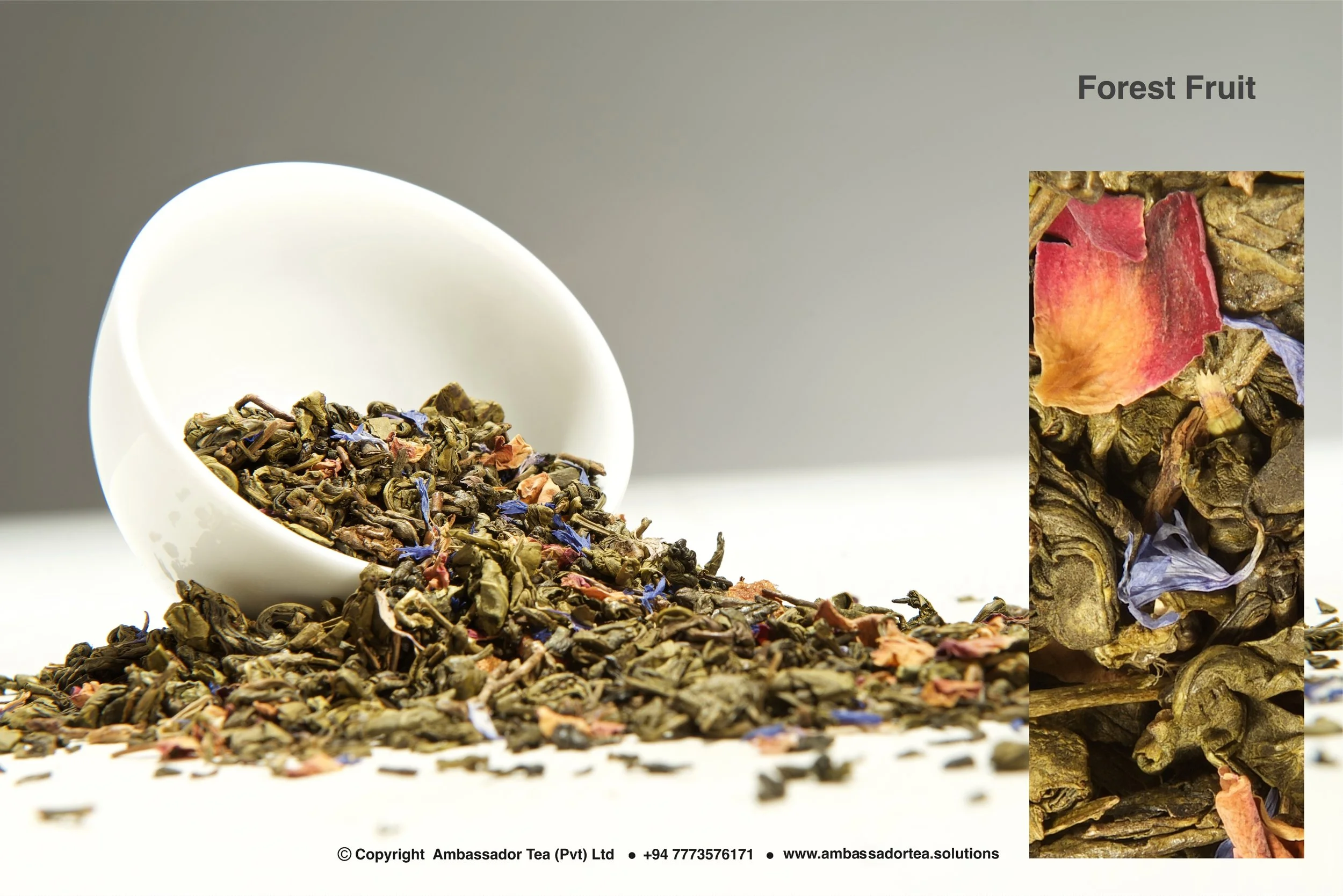 Forest Fruit.jpg