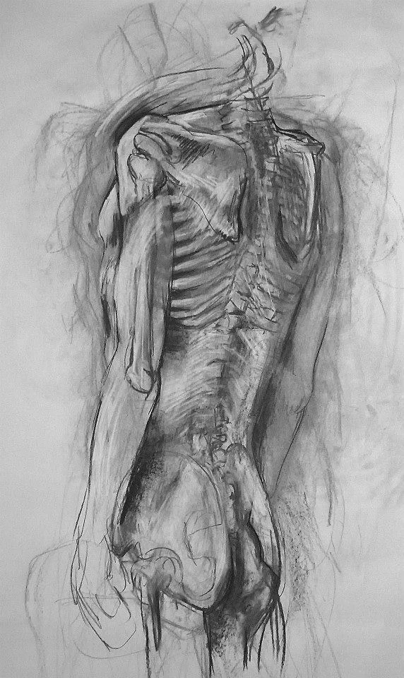 skeleton.jpg