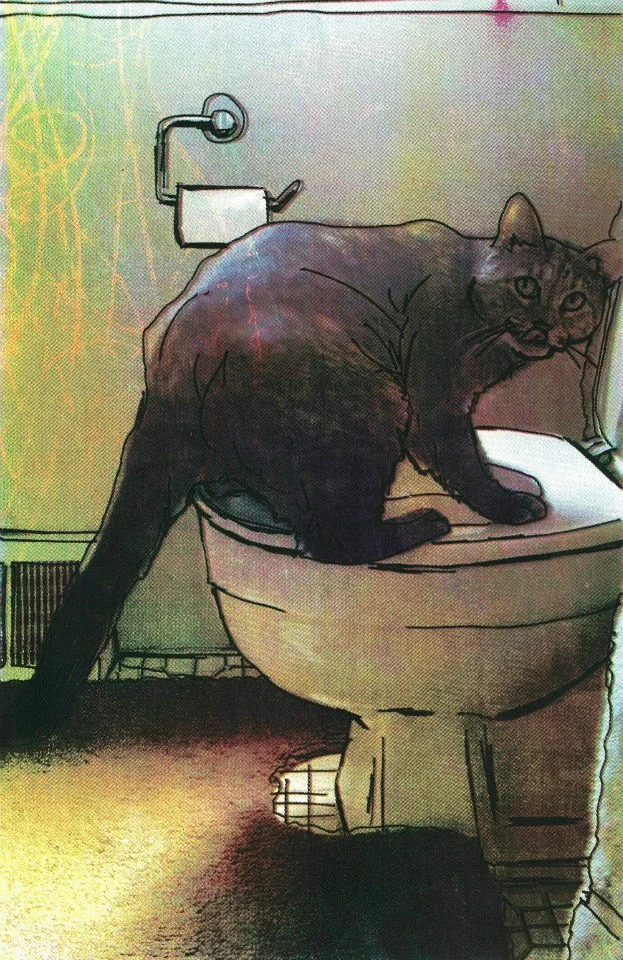 cat toilet.jpg