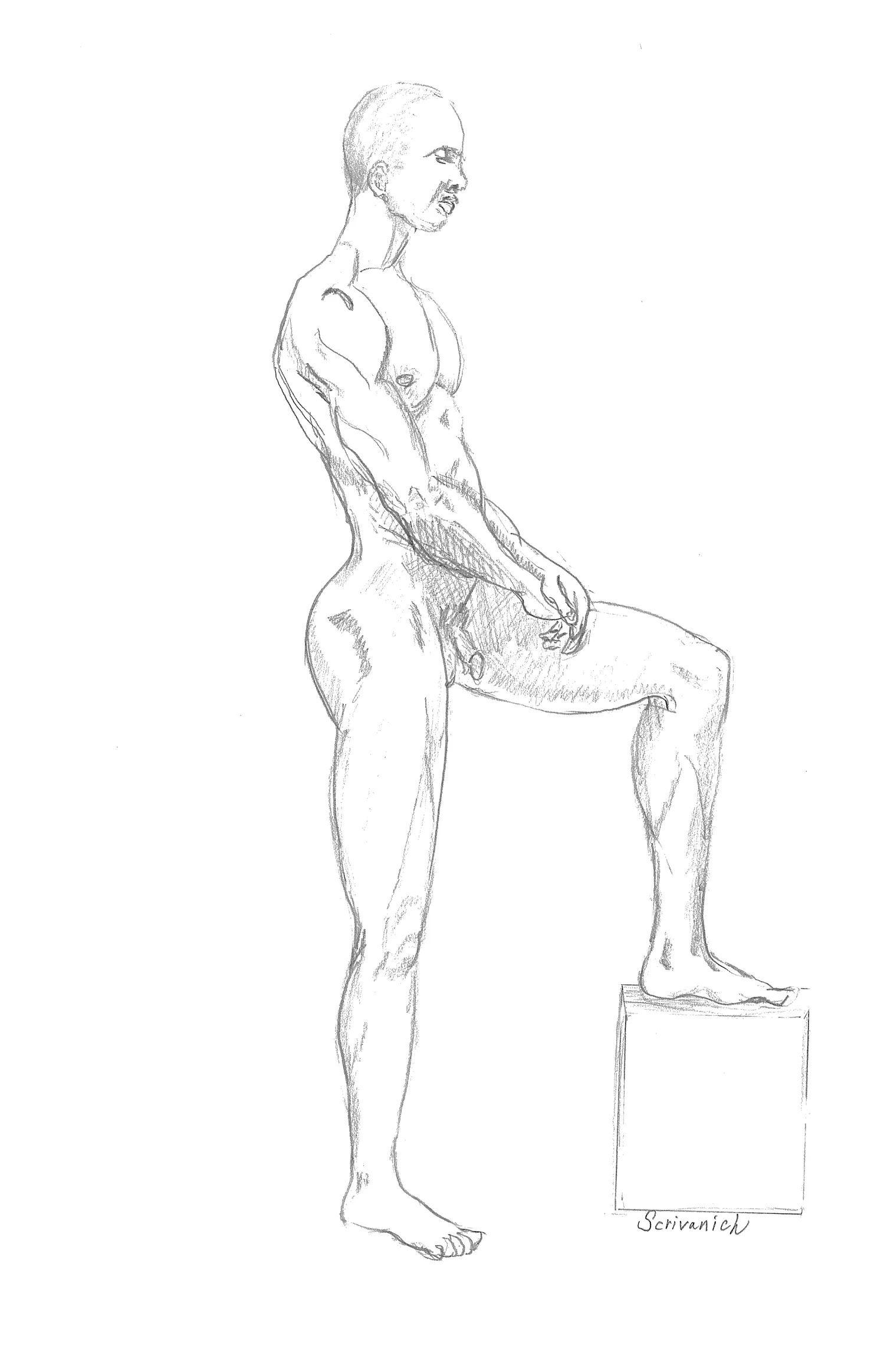 drawing-10.jpg
