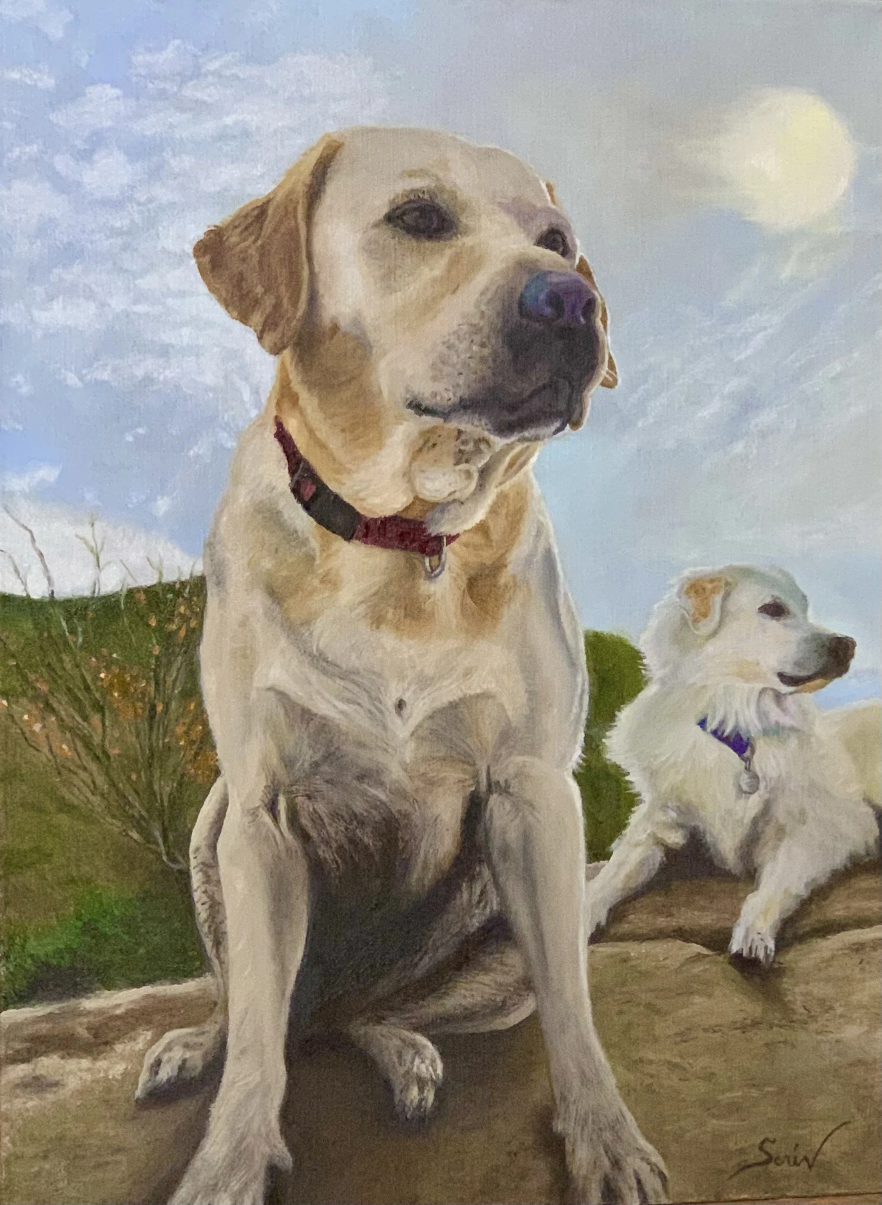 Fenton and Teddy
