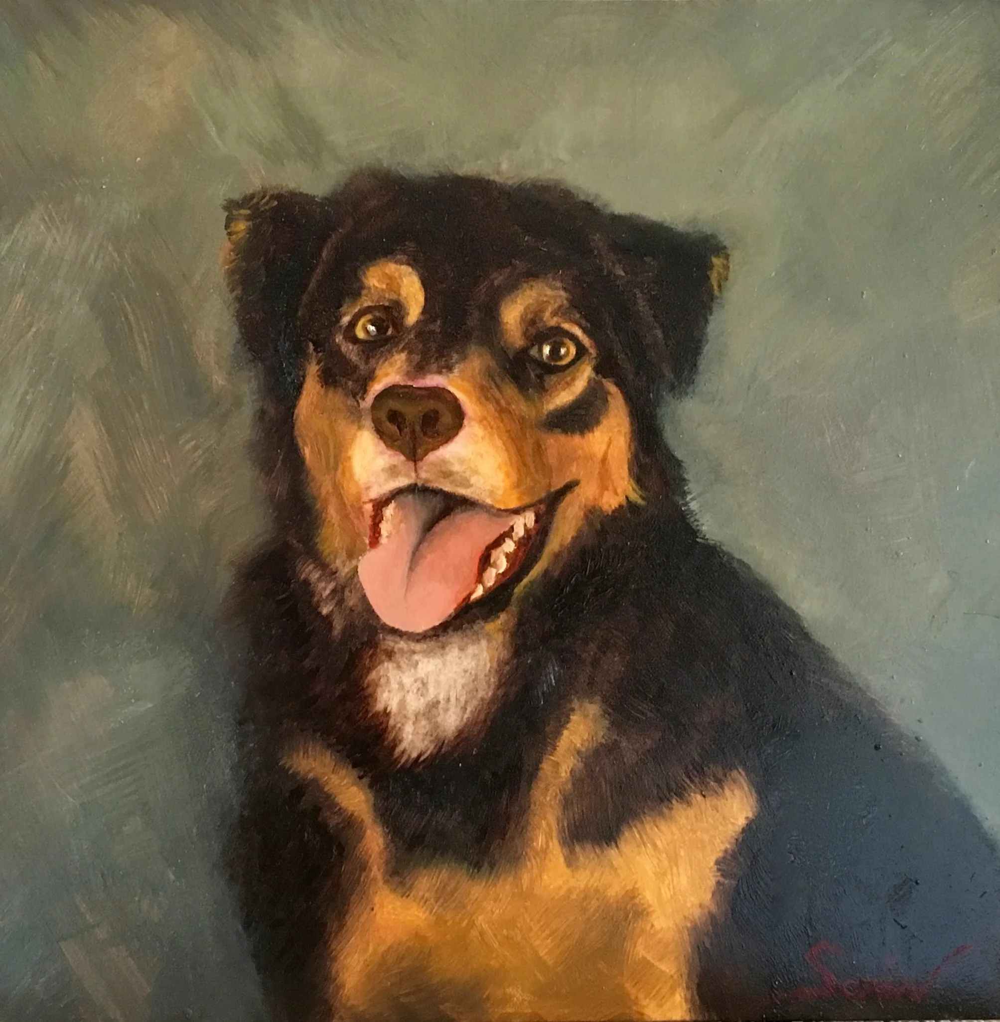 Jessie The Rottweiler Mix