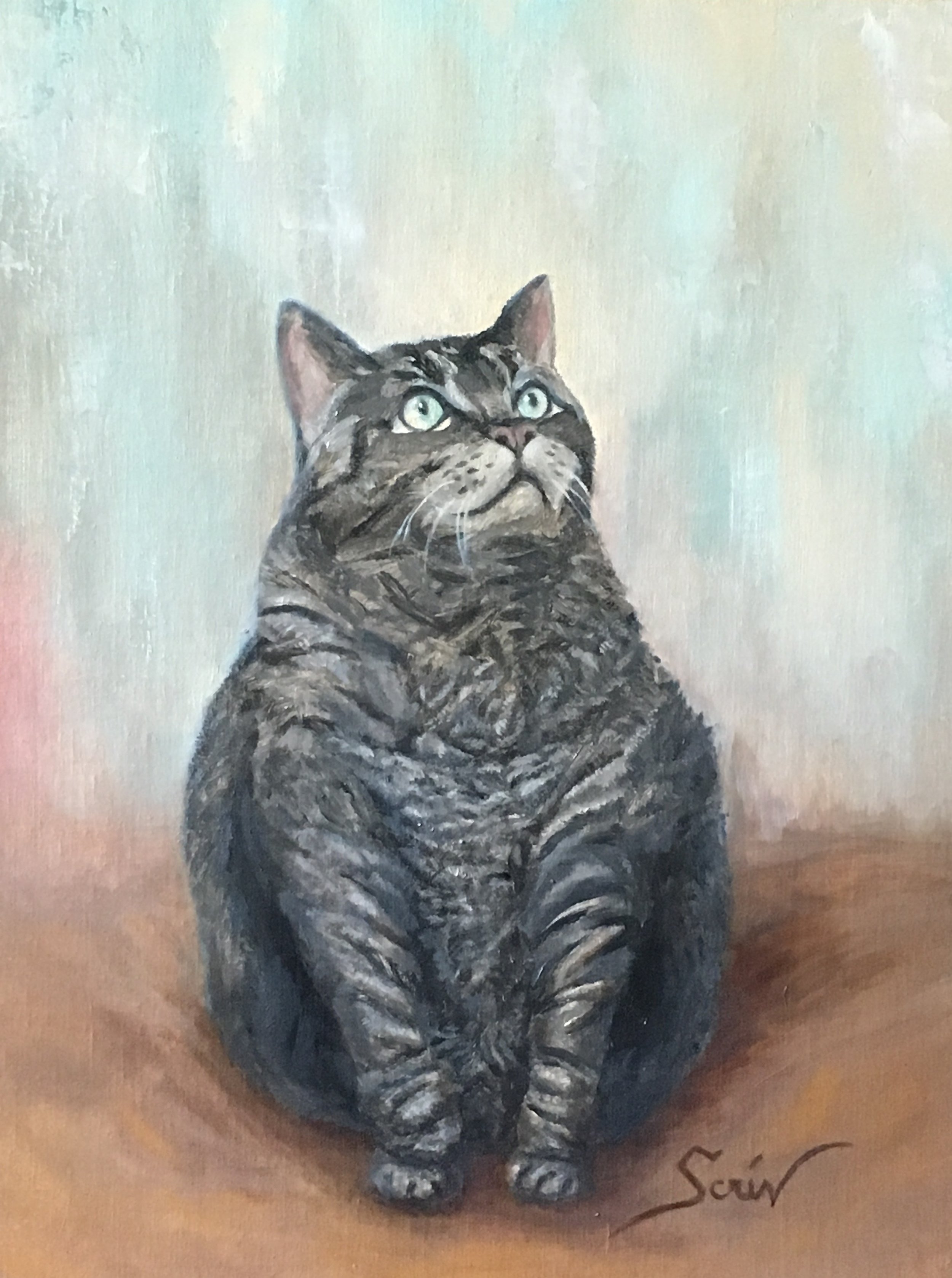 Feline Affection