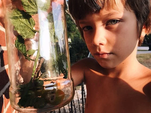 We’ve never had a garden, but since we stayed home this summer we planted some cherry tomato plants. Oliver and I found two hornworm caterpillars that have been dining on our beloved tomatoes. They are big+bloated+squishy and make me gag a litt