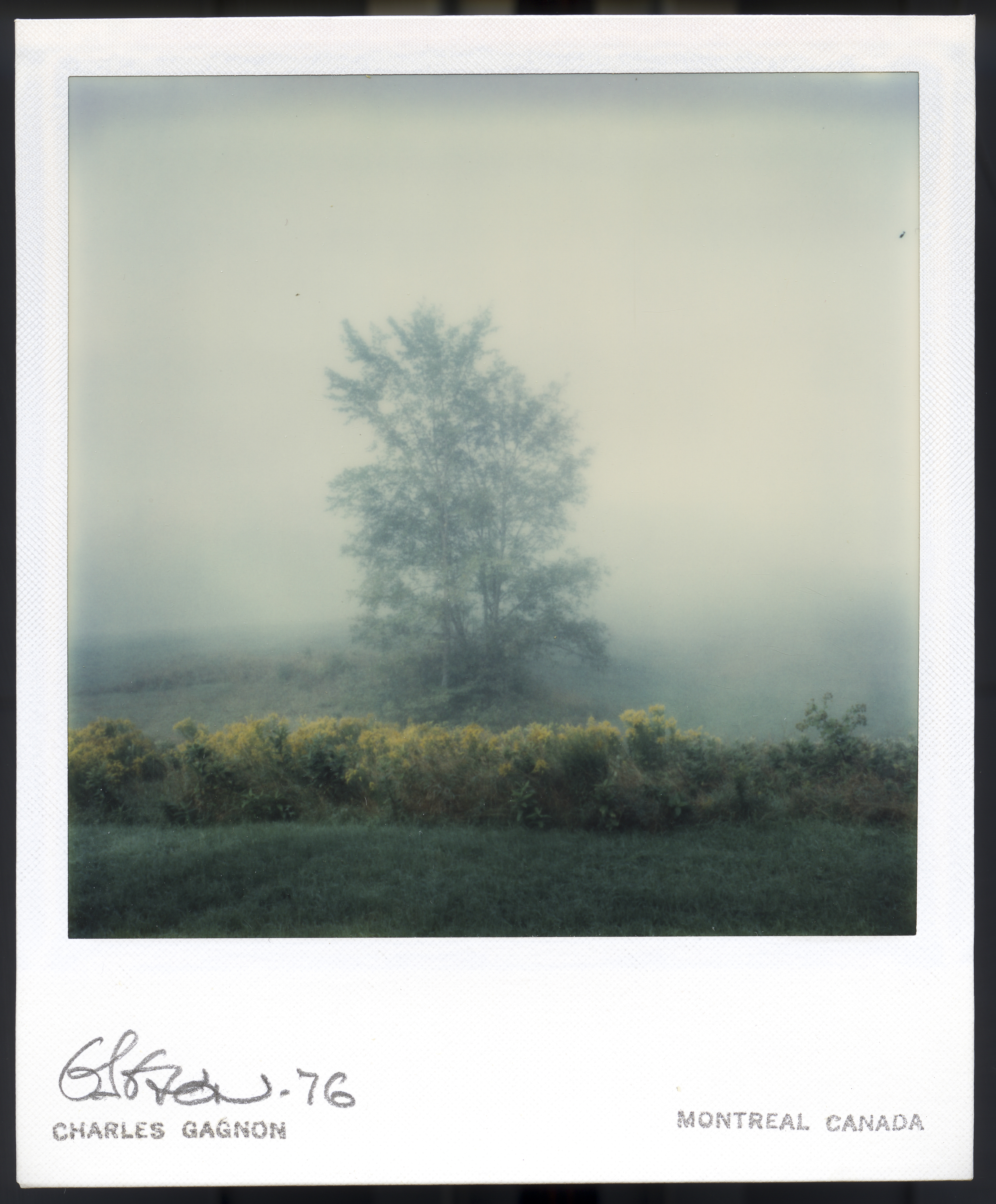 1976, 76-112, SX-70