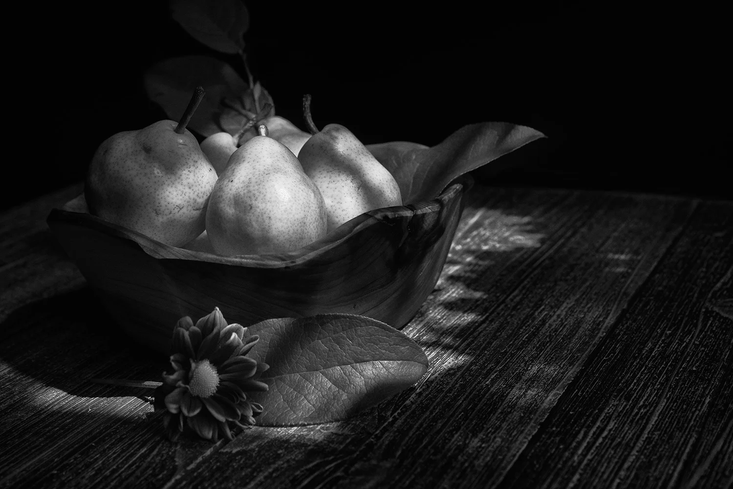 DSC_3344bwweb.jpg