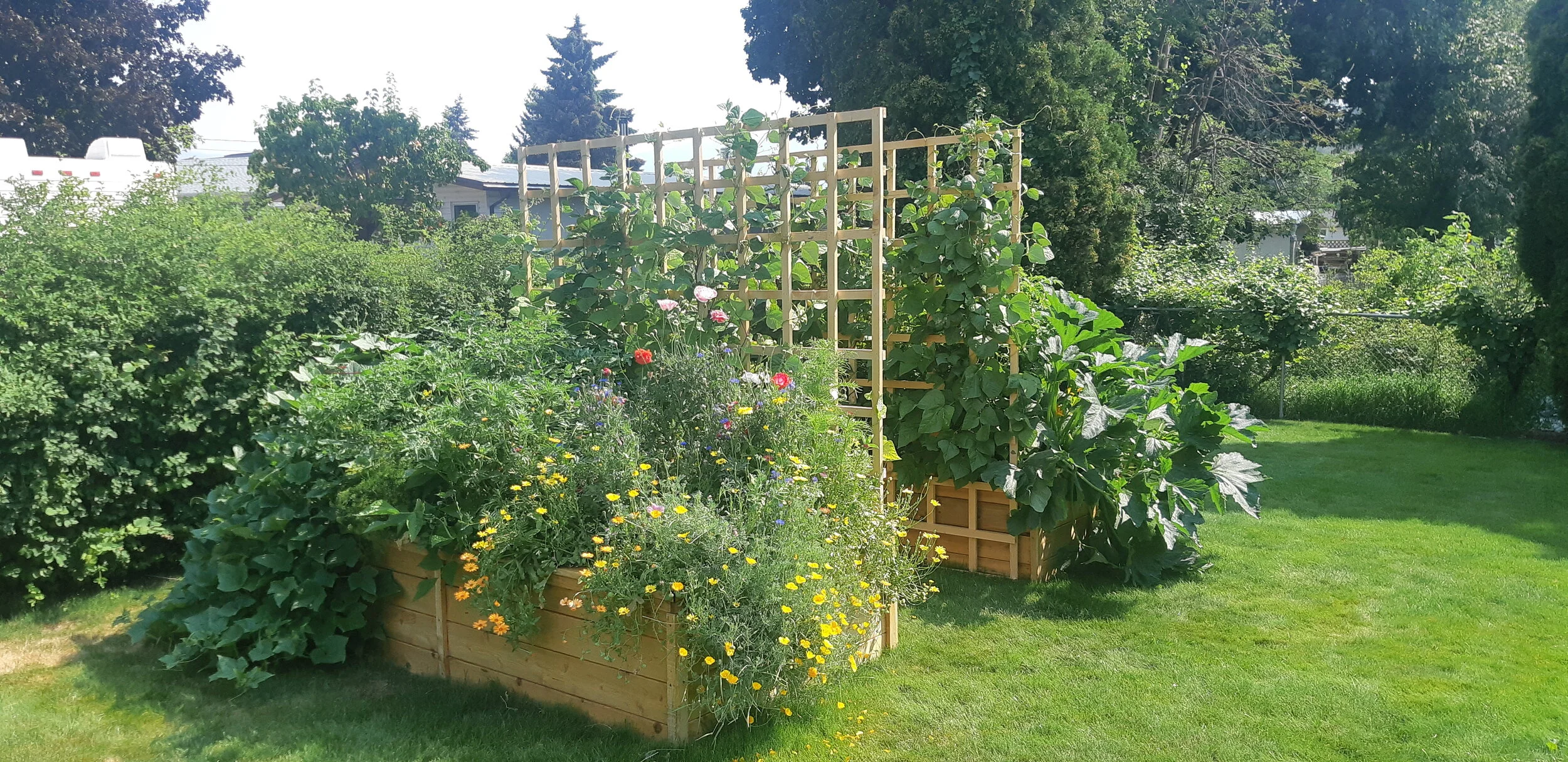 Come Into The Garden