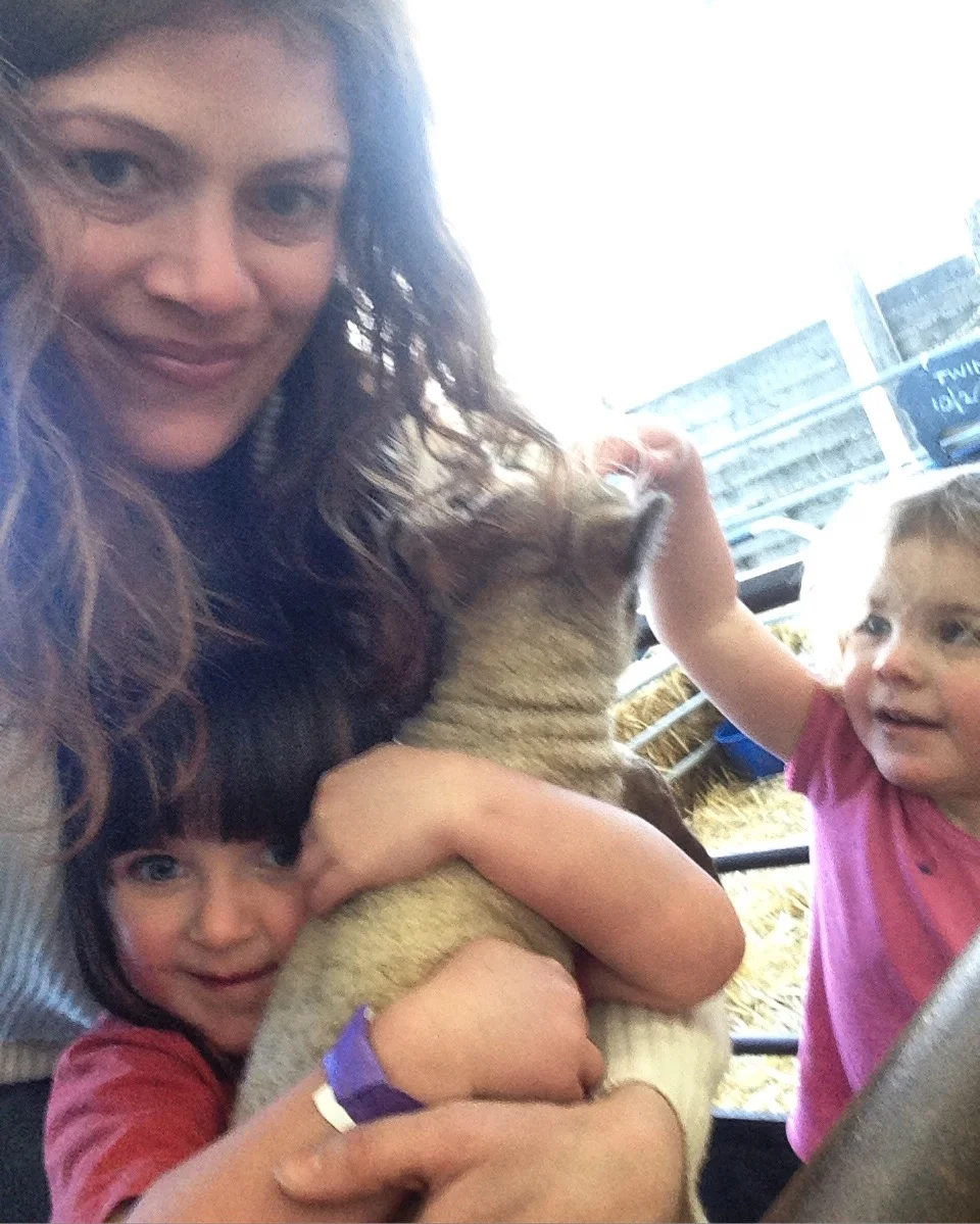 What if I drop this baby lamb?
