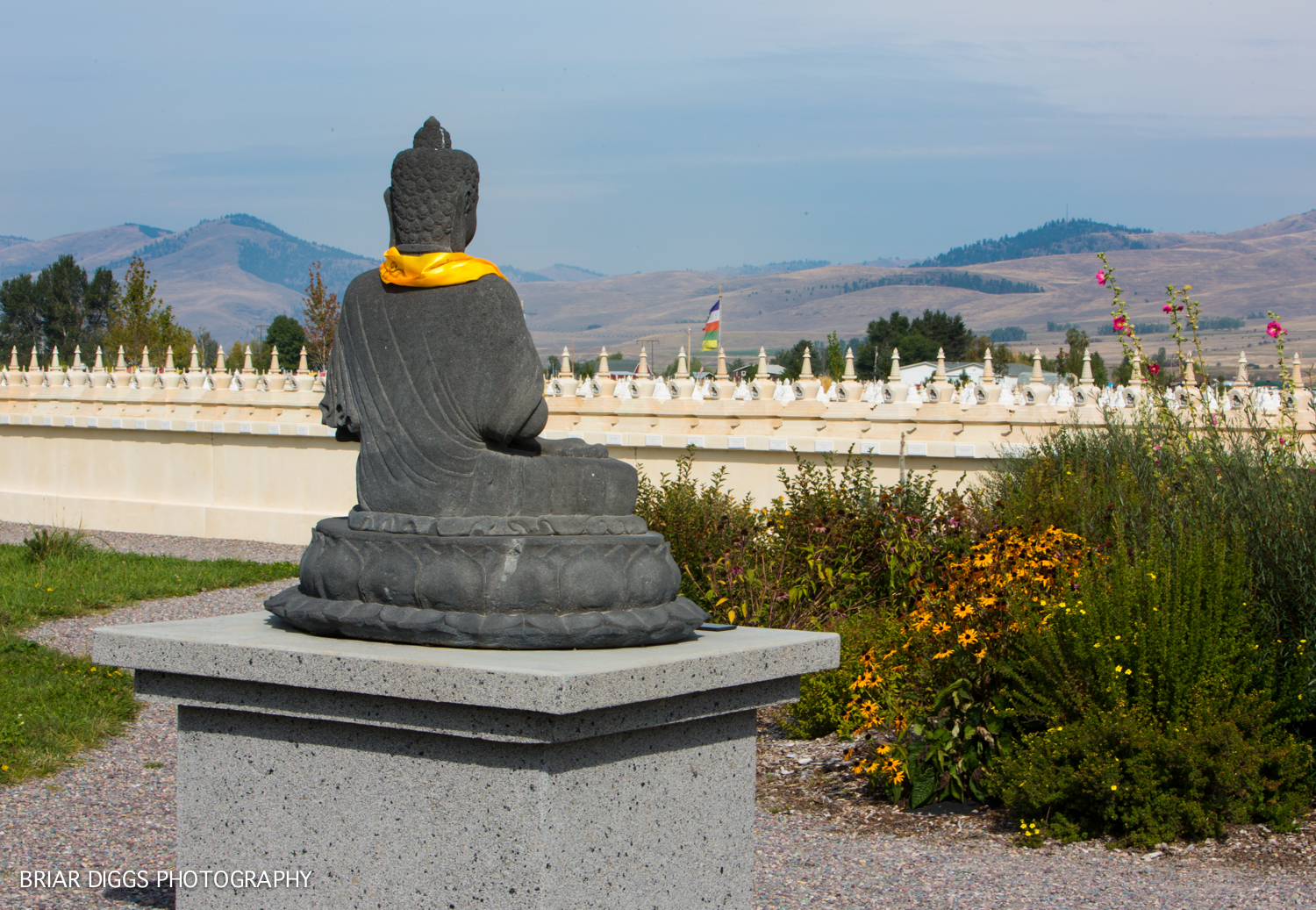 Garden Of 1000 Buddhas Briar Diggs