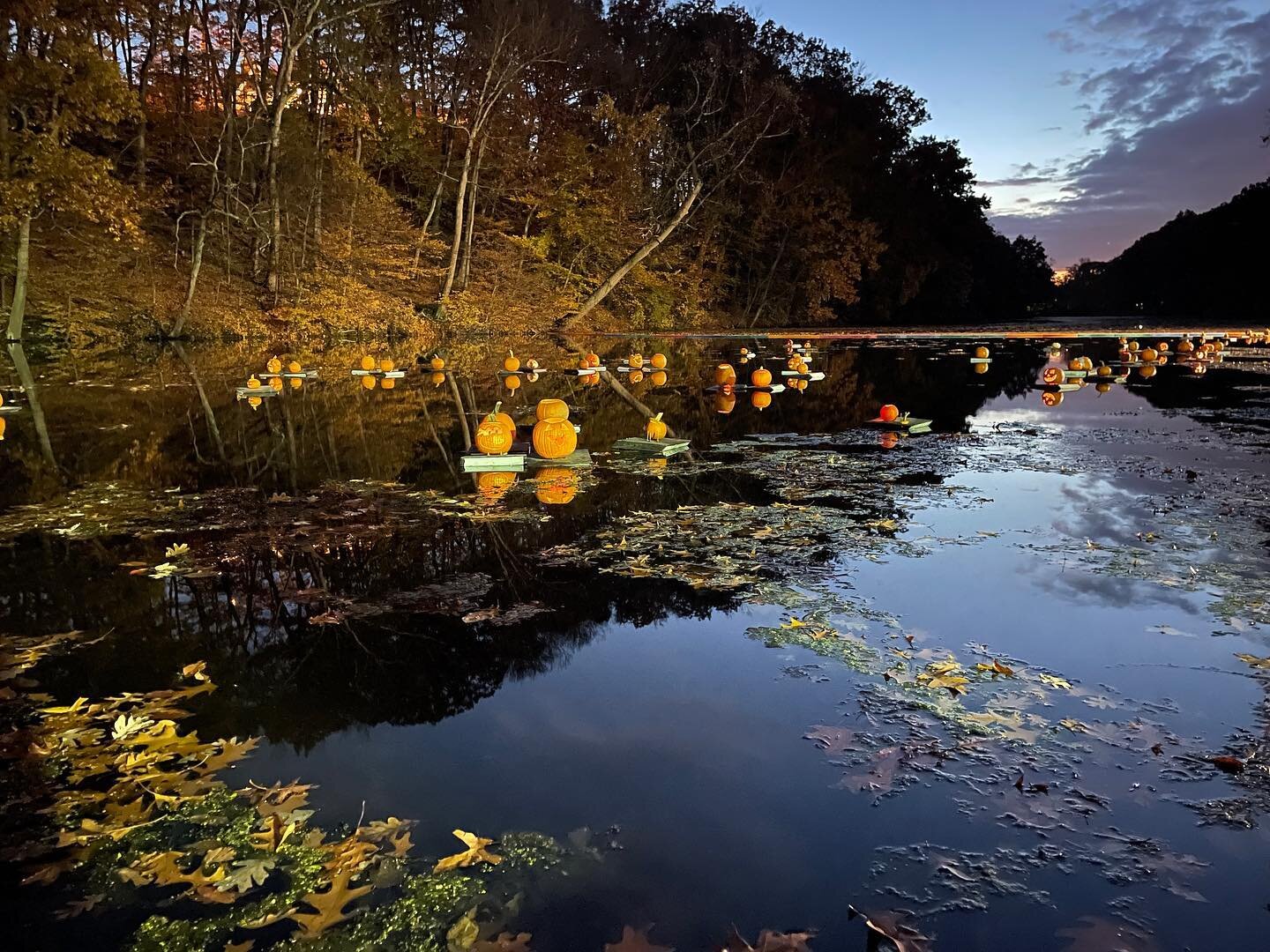 Not a bad way to say goodbye to #Halloween. A beautiful sunset, music, cookies and hot chocolate made the #greatpumpkinsail a fun fall tradition