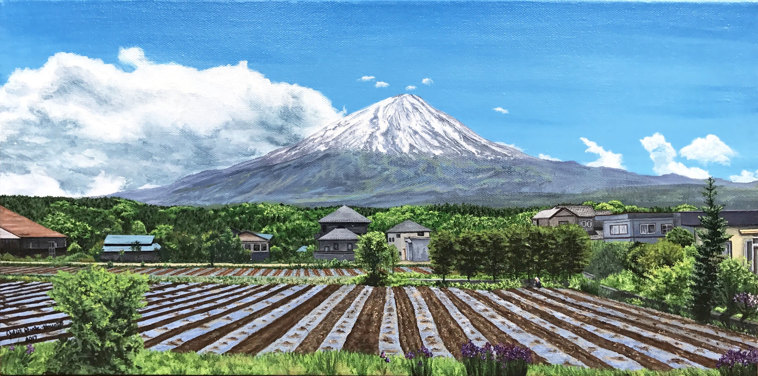 "Fields and Fuji"